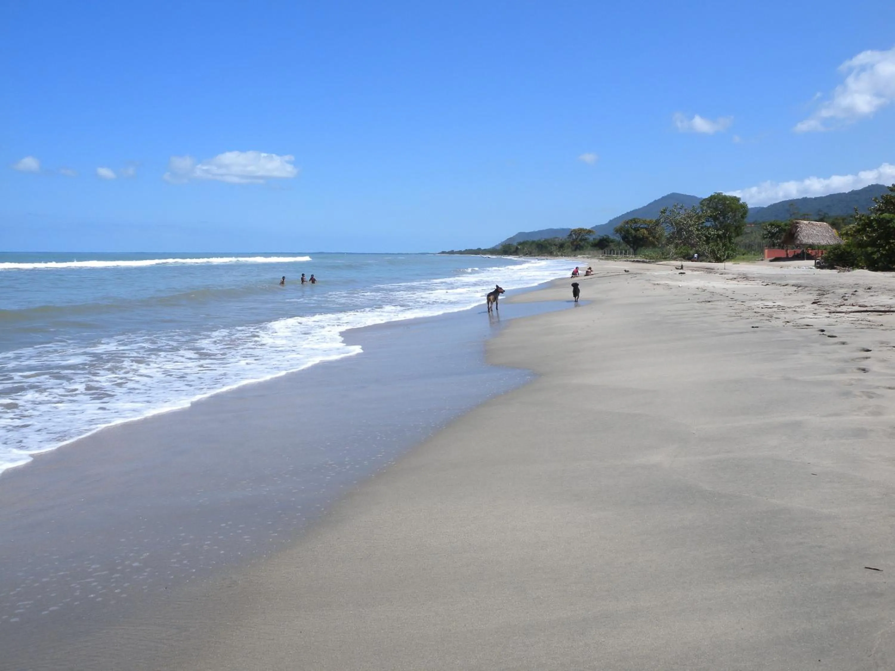 Day in Tranquility Bay Beach Retreat
