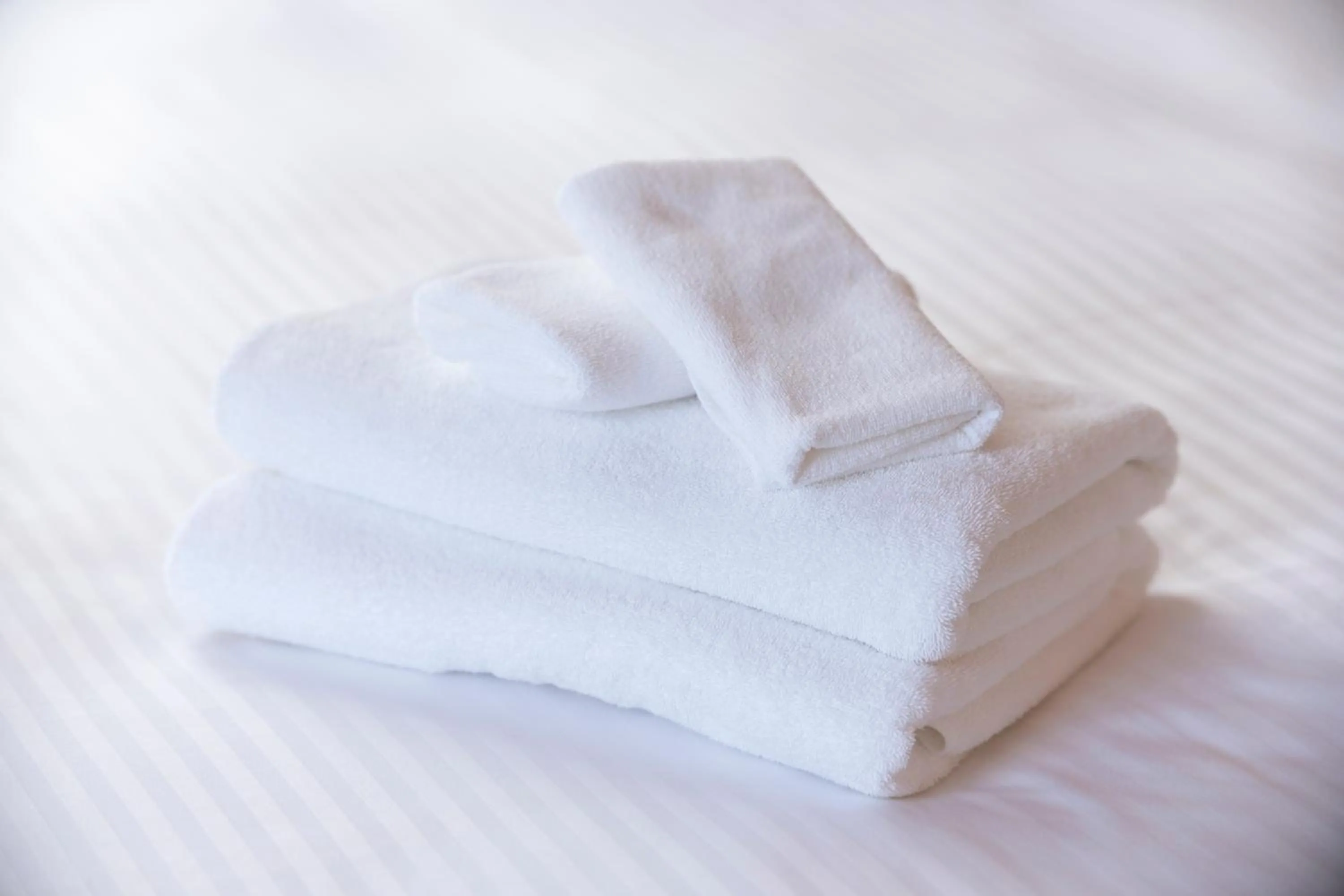 Area and facilities in Tosei Hotel Cocone Chiba Chuo
