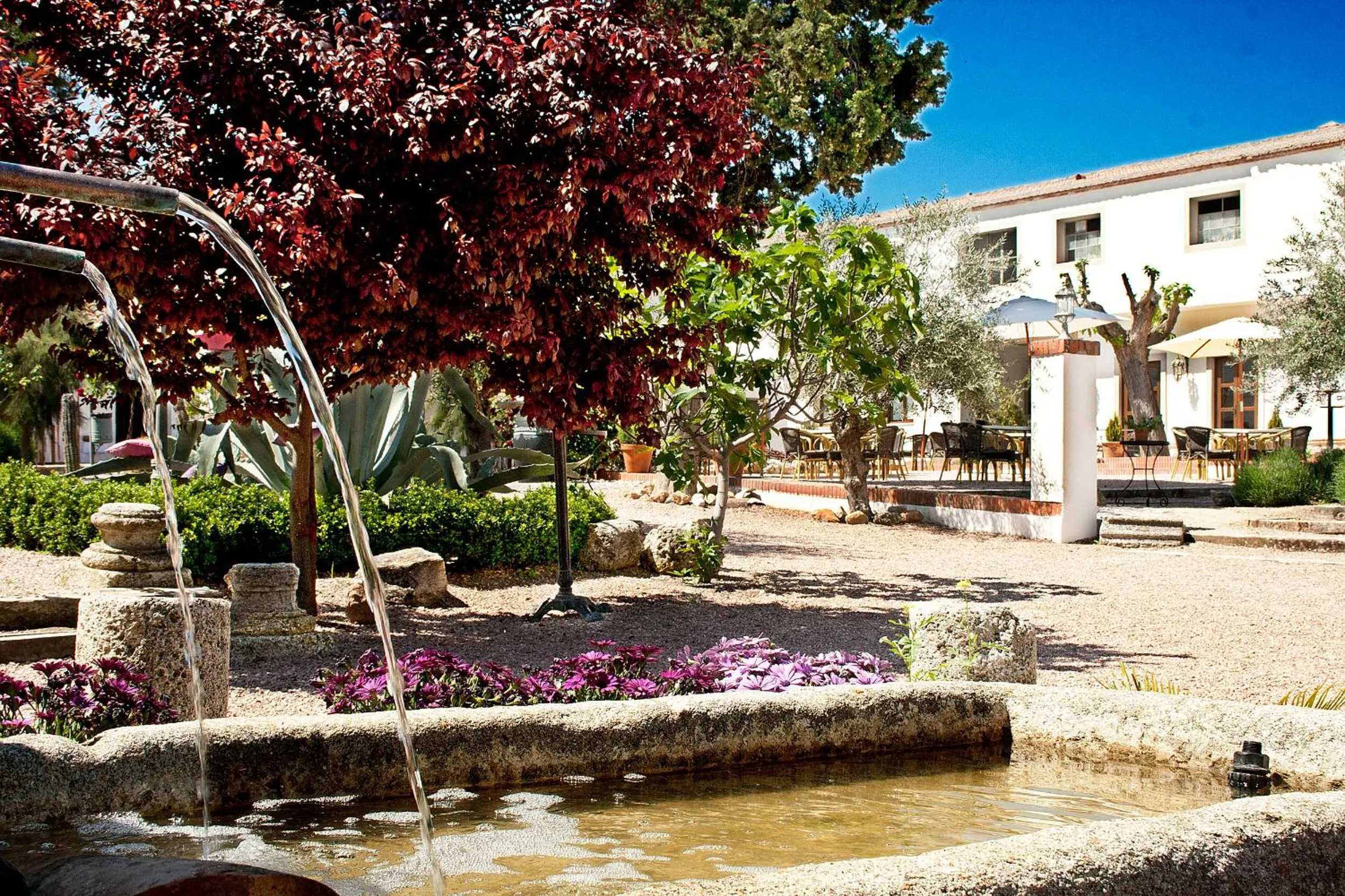 Garden in Hotel & Spa La Salve