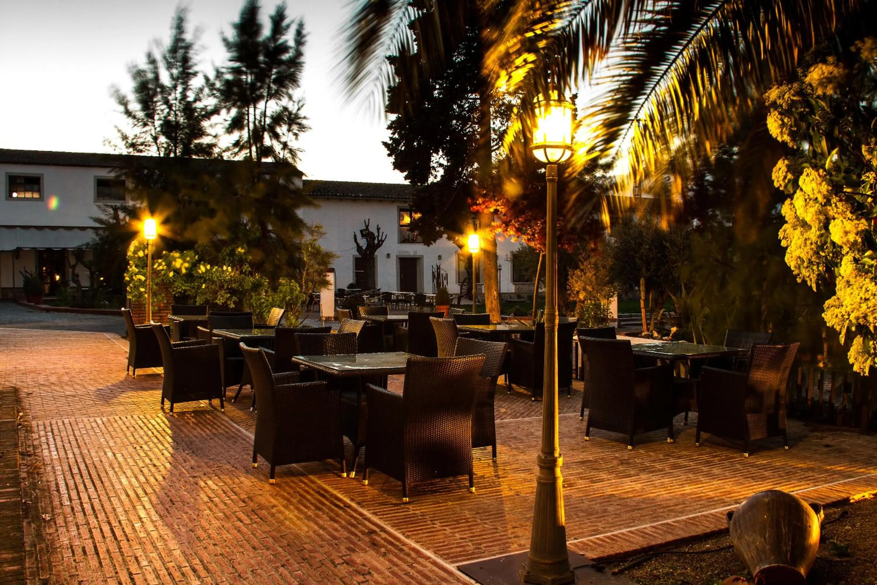 Garden in Hotel & Spa La Salve