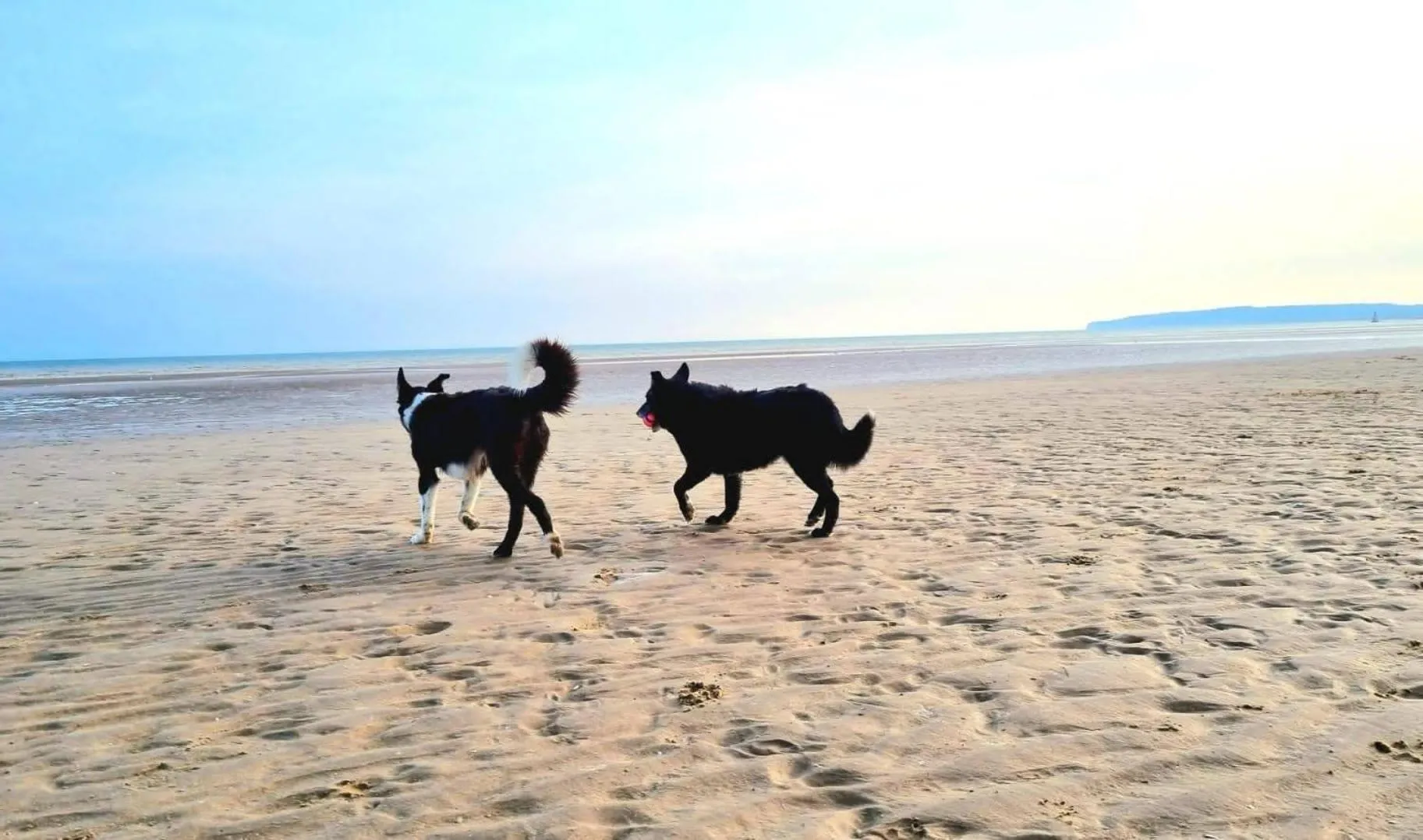 Beach in Point Farm