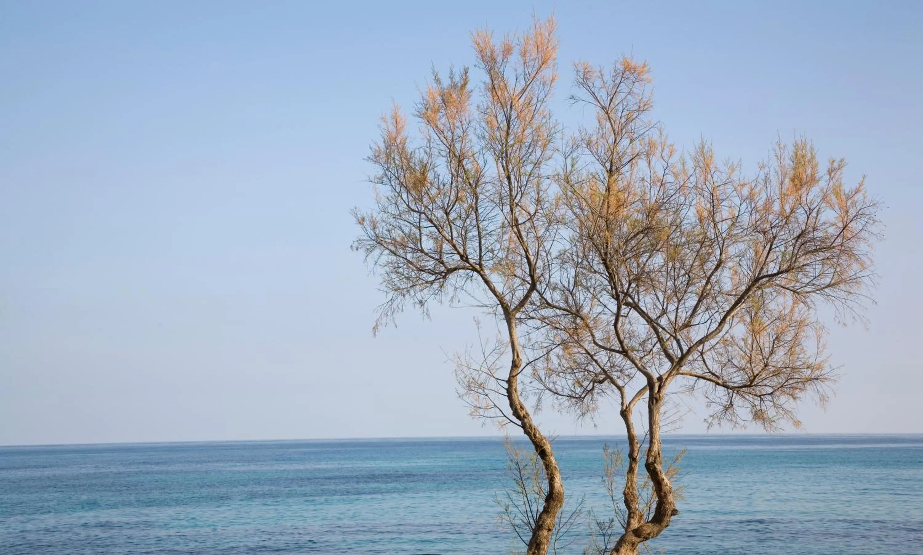 Sea view in Hotel Mariant