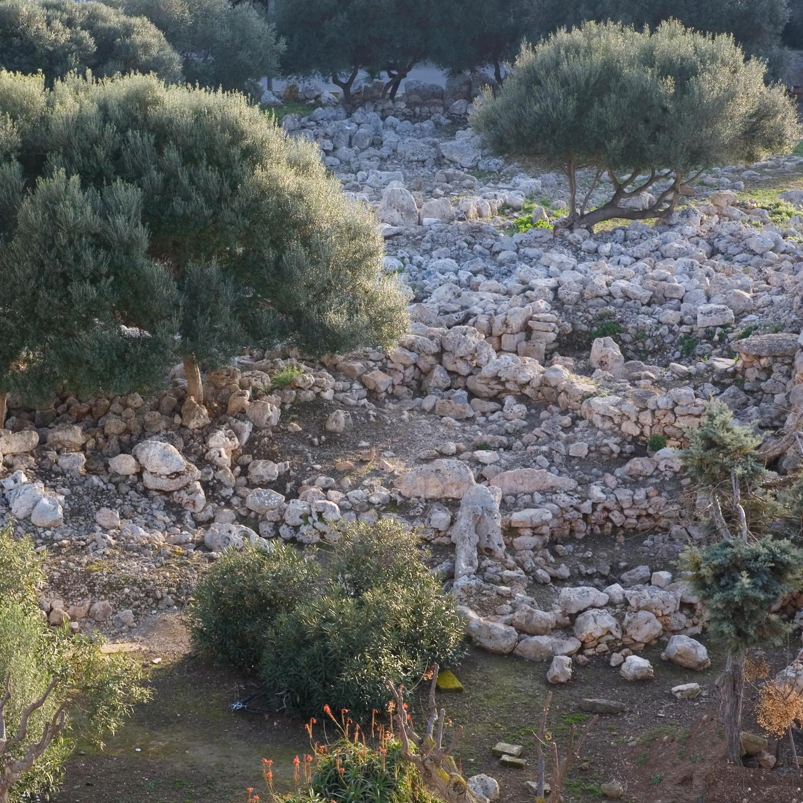 Natural landscape in Hotel Mariant