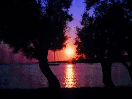 Natural landscape in Hotel Paros