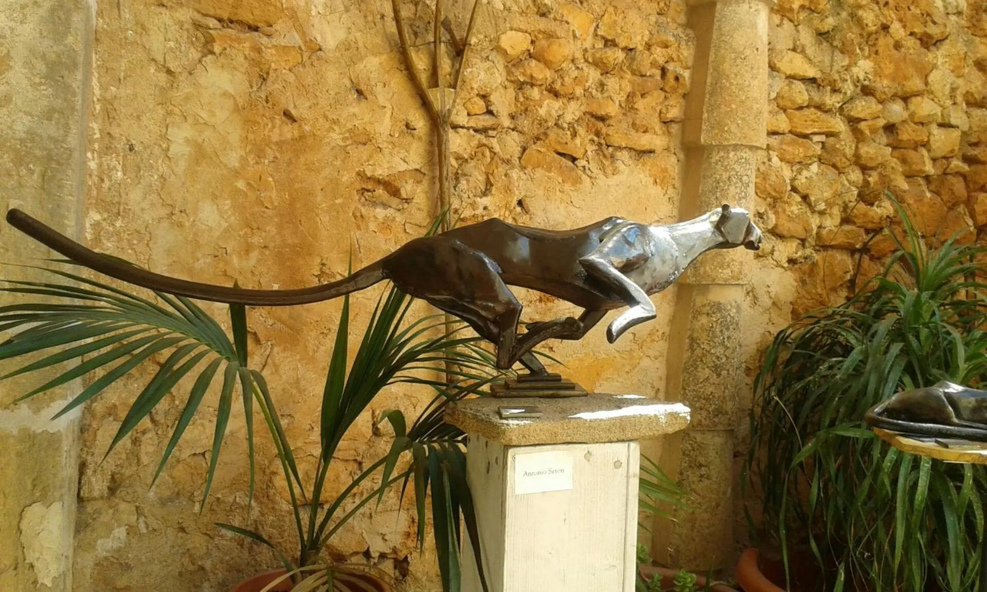 Entertainment in Hotel Segles - Turismo de Interior