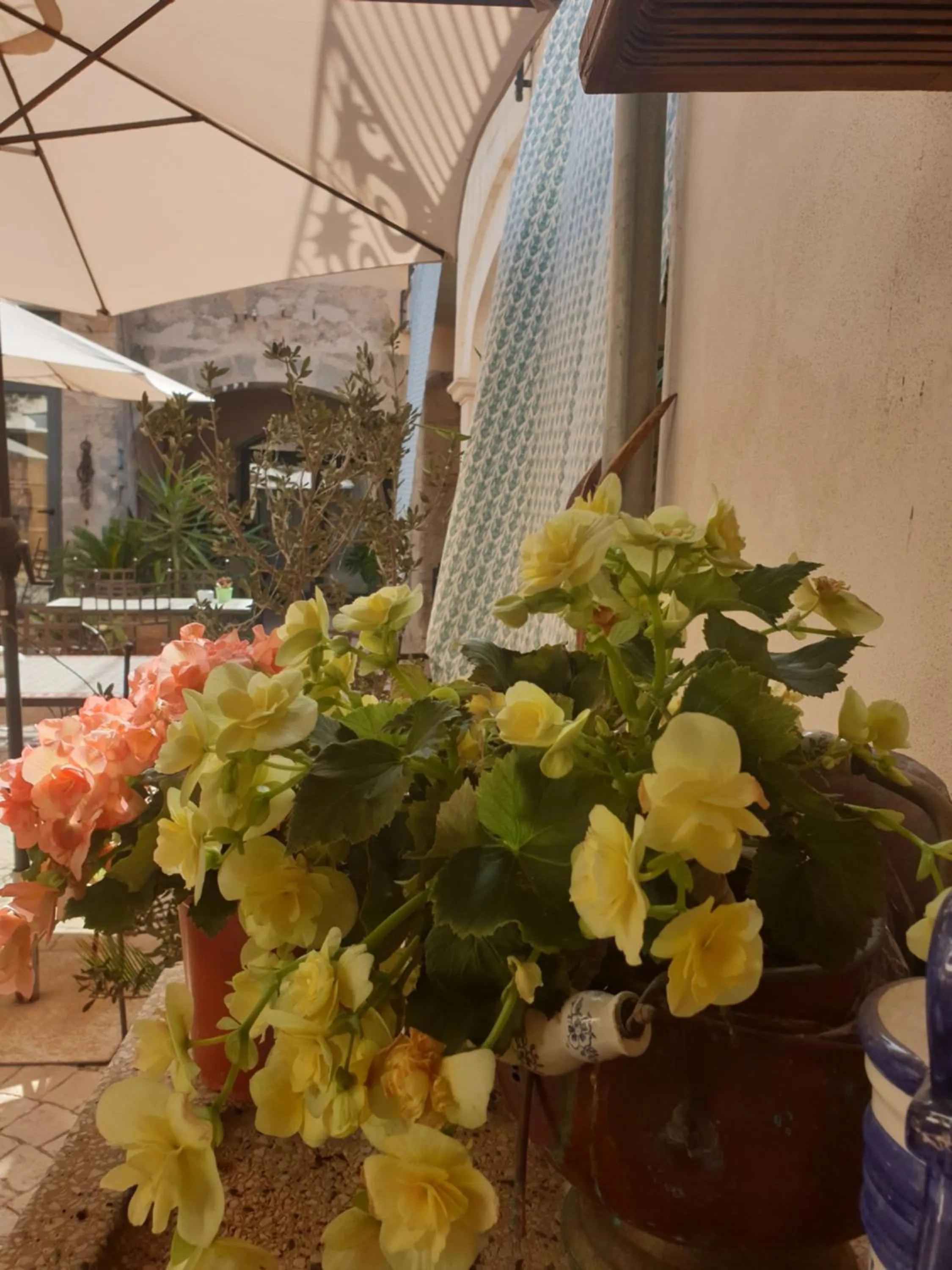 Garden view in Hotel Segles - Turismo de Interior