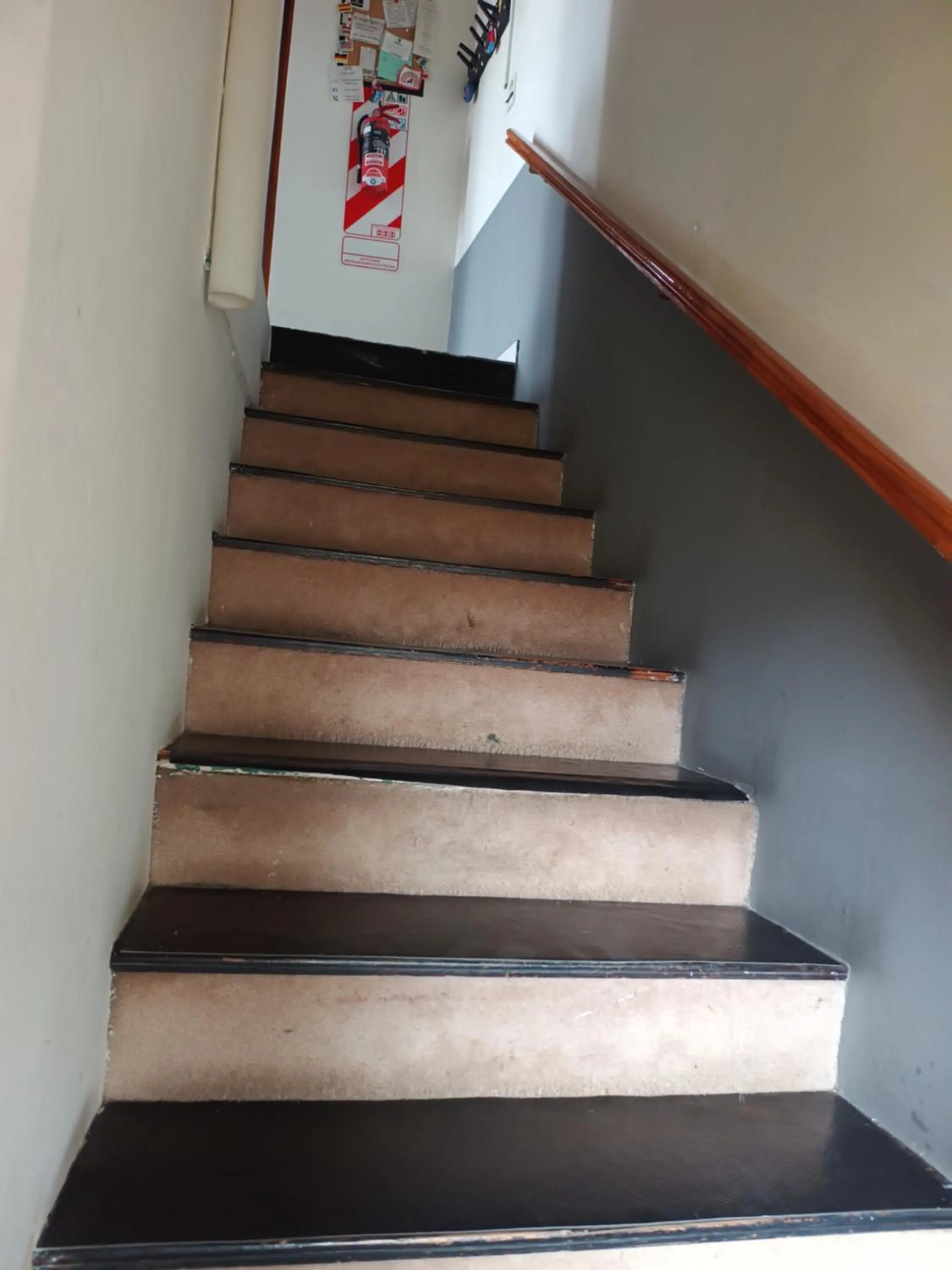 Carabelli Propiedades