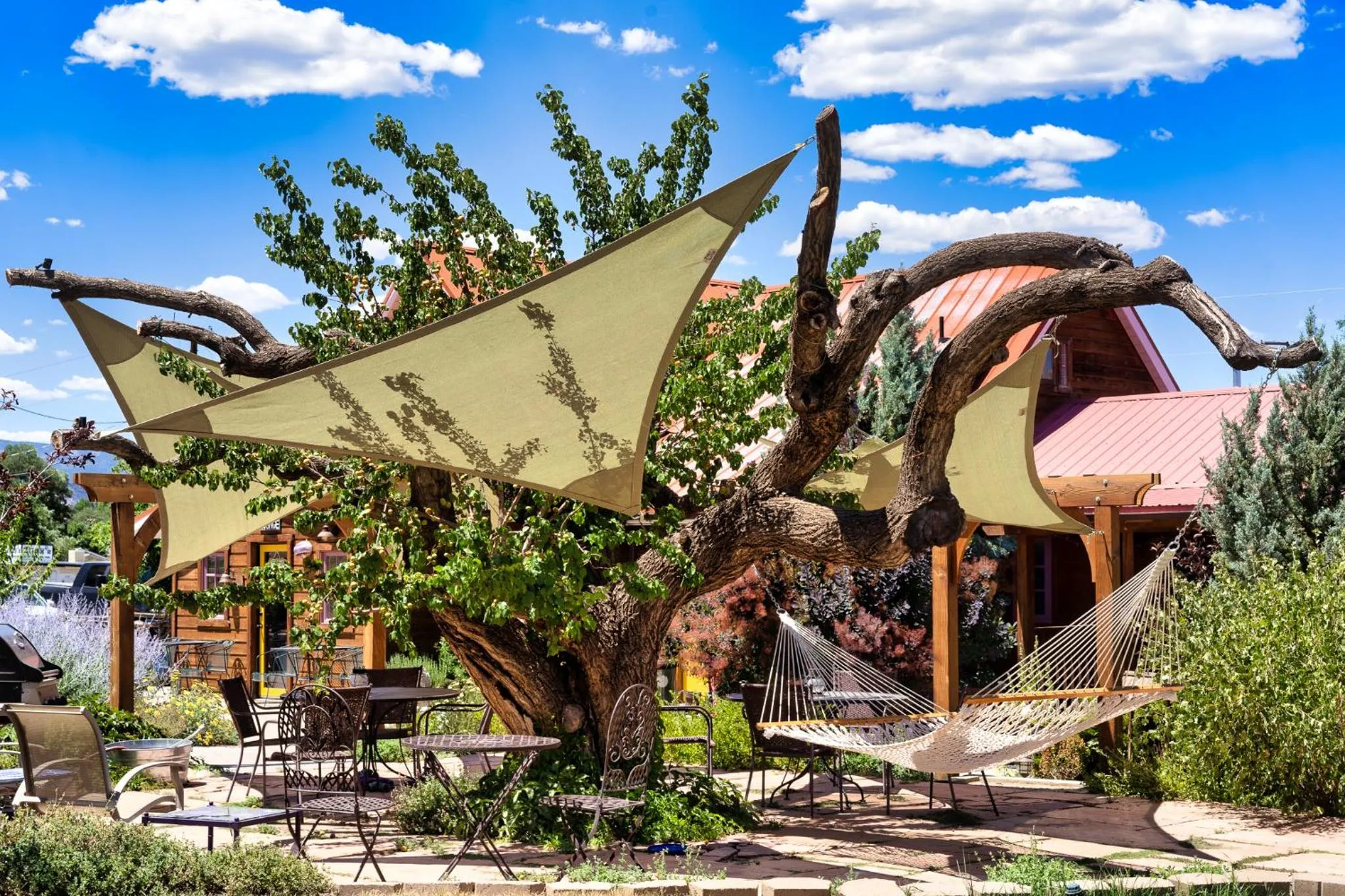 Balcony/Terrace in The Loubird Inn