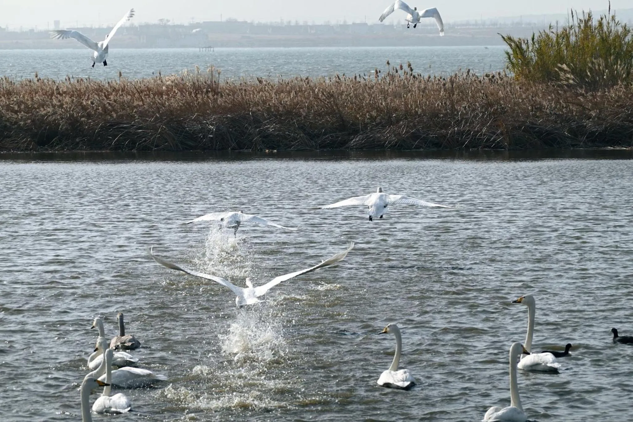 Nearby landmark in Crowne Plaza Weihai Binhai by IHG
