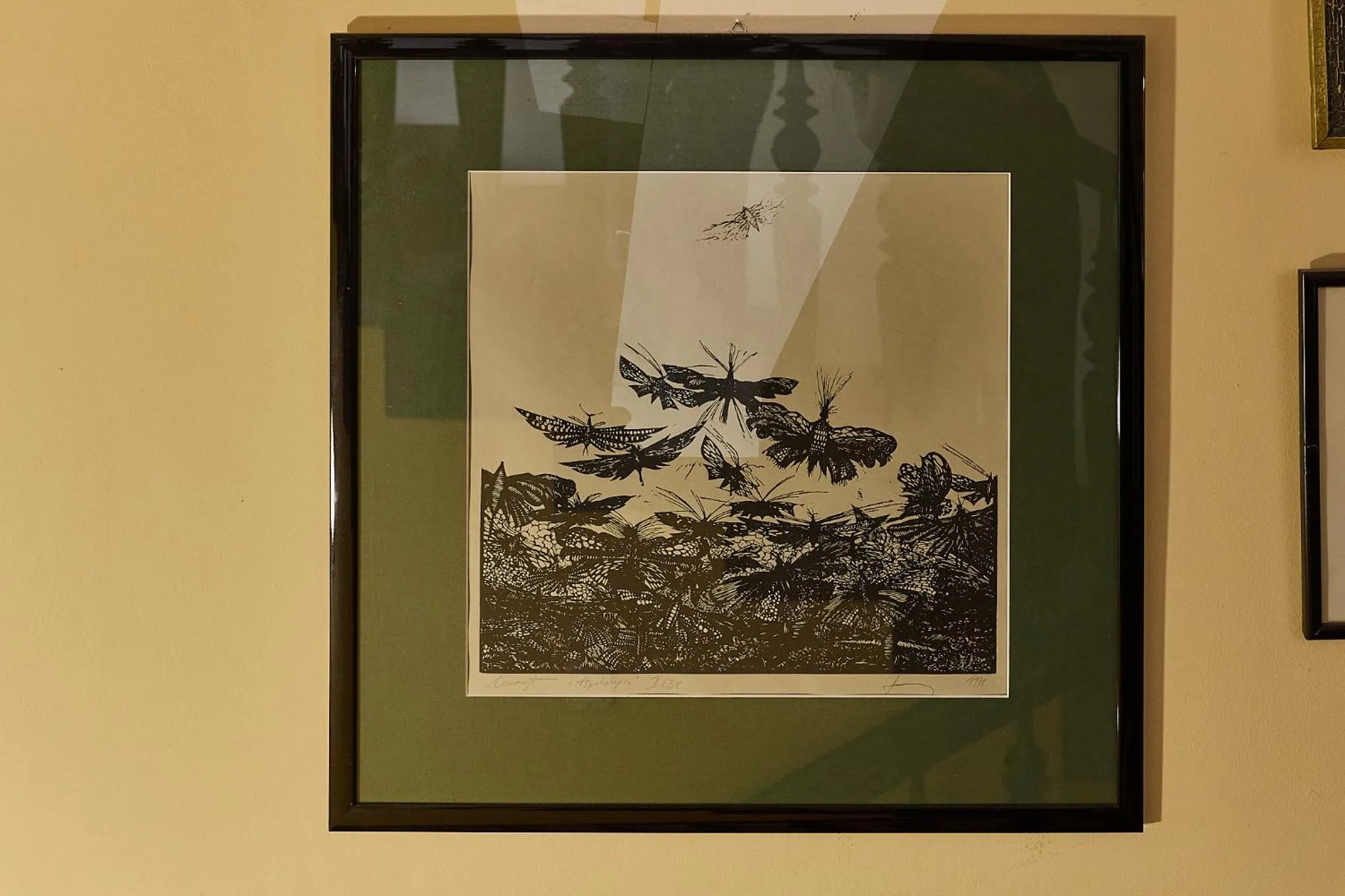 Property building in Kamienica pod Kasztanami Świnoujście (Usedom Insel)