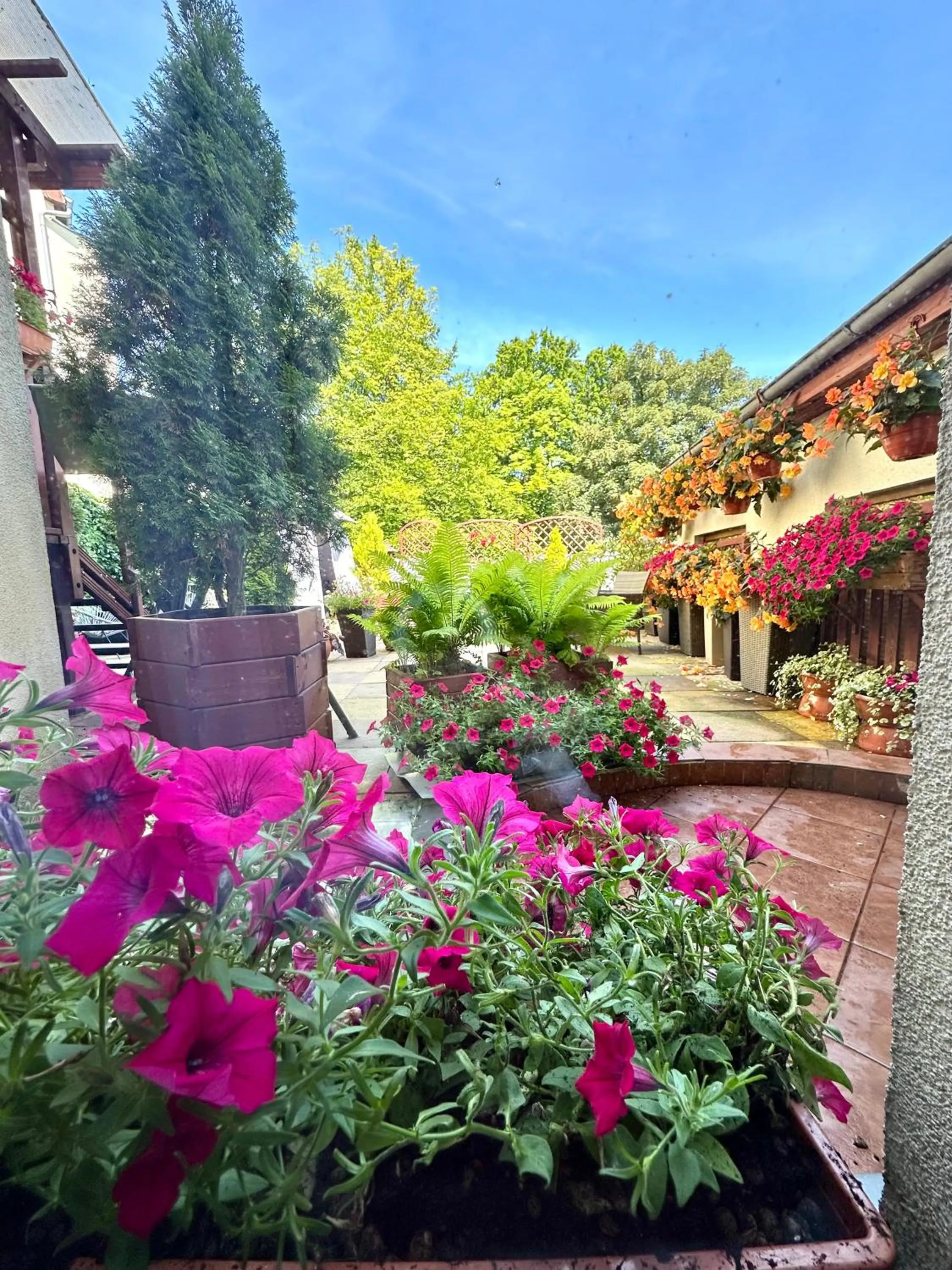 Balcony/Terrace in Kamienica pod Kasztanami Świnoujście
