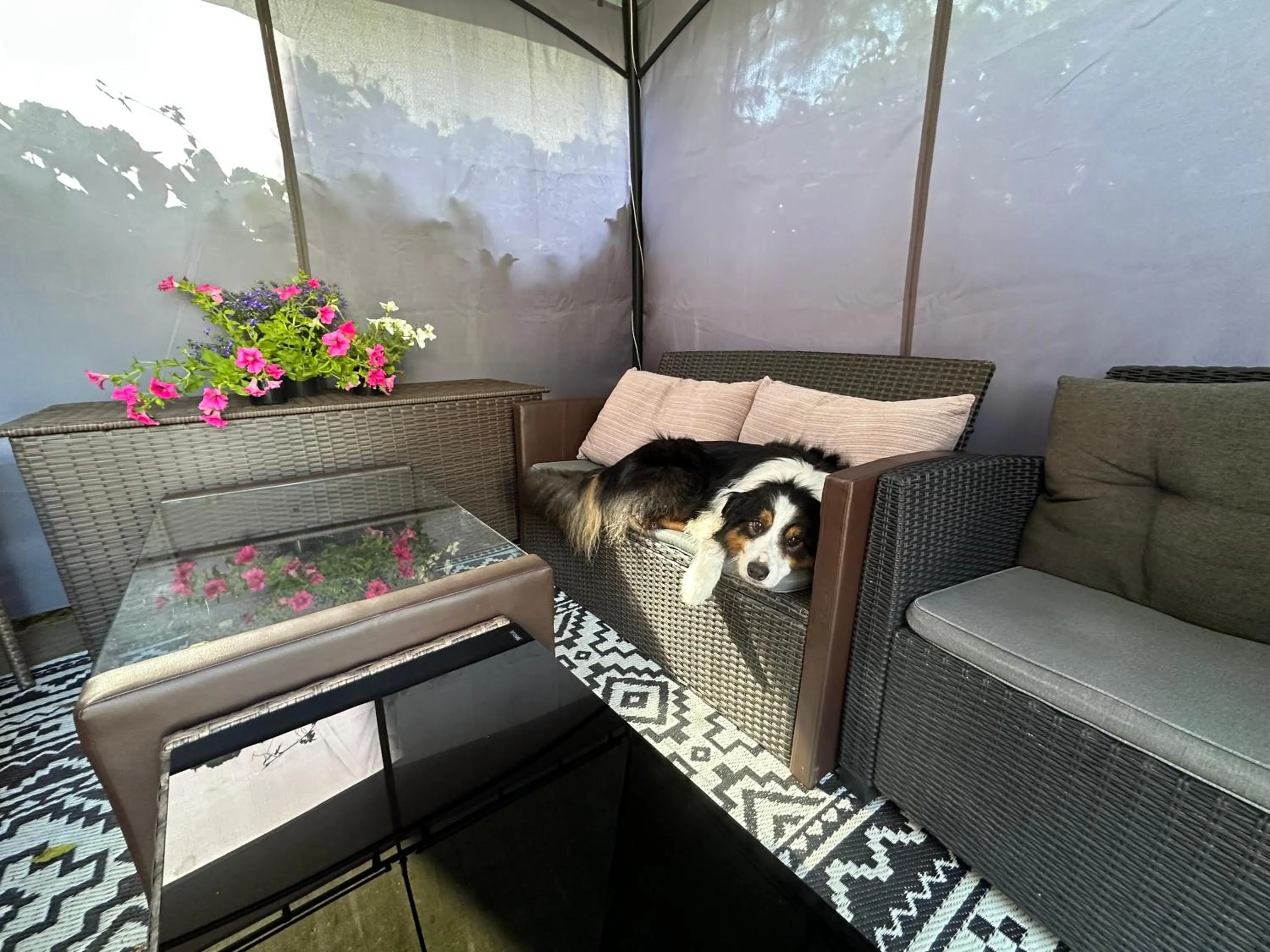 Balcony/Terrace in Kamienica pod Kasztanami Świnoujście