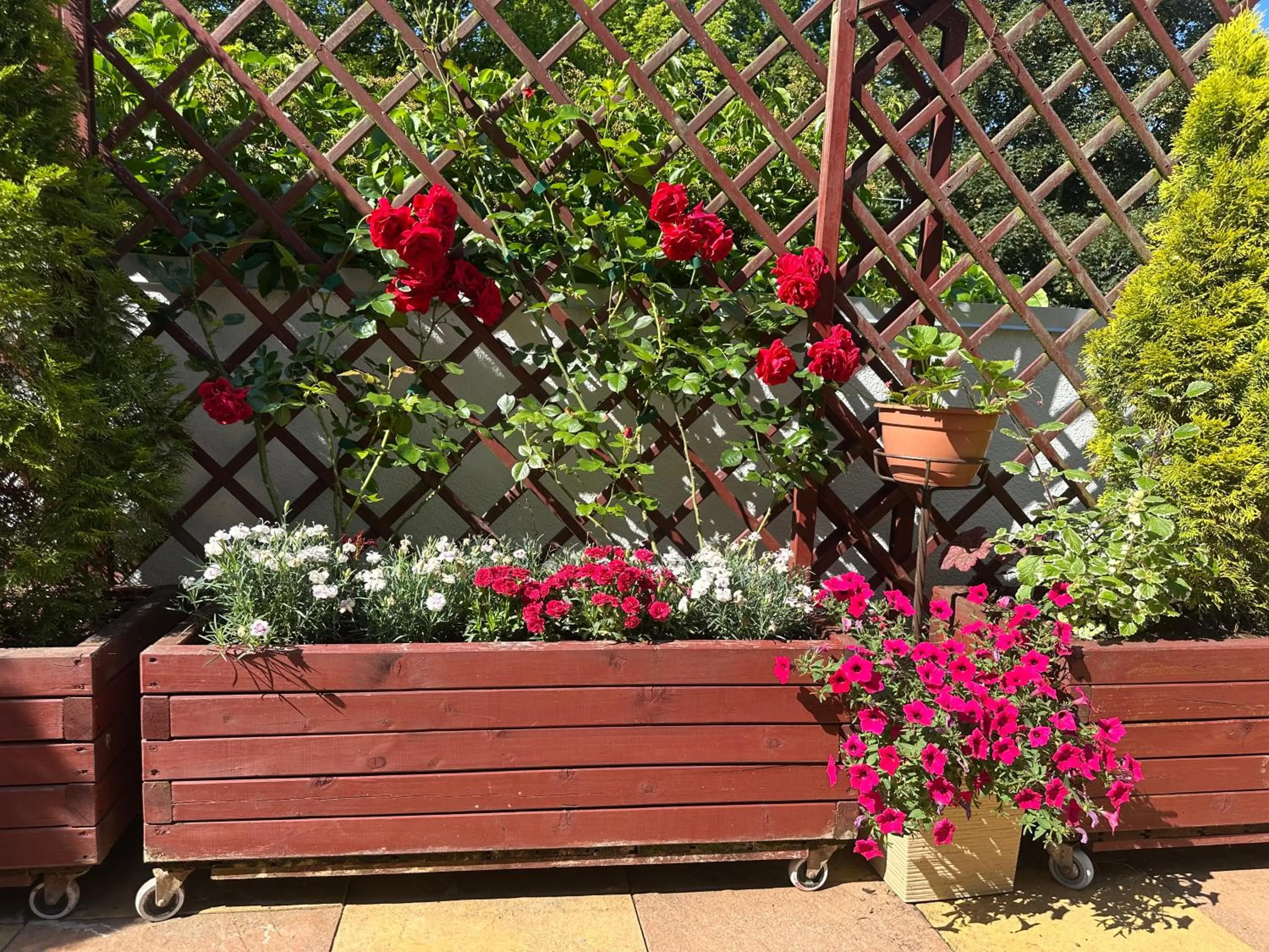 Garden in Kamienica pod Kasztanami Świnoujście