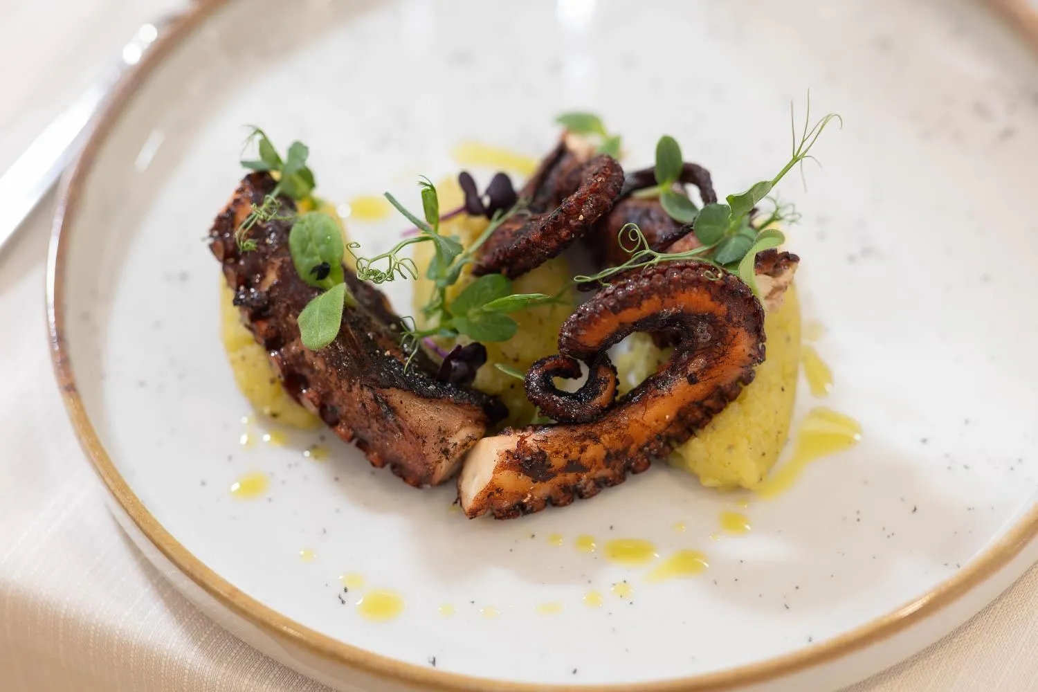 Restaurant/places to eat in Hotel Castello