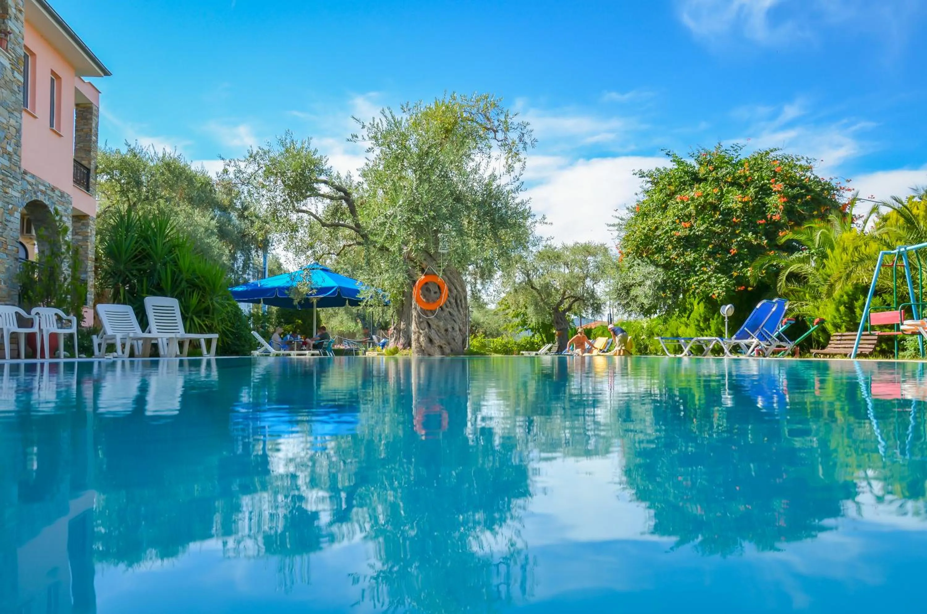 Swimming pool in Villa Eden