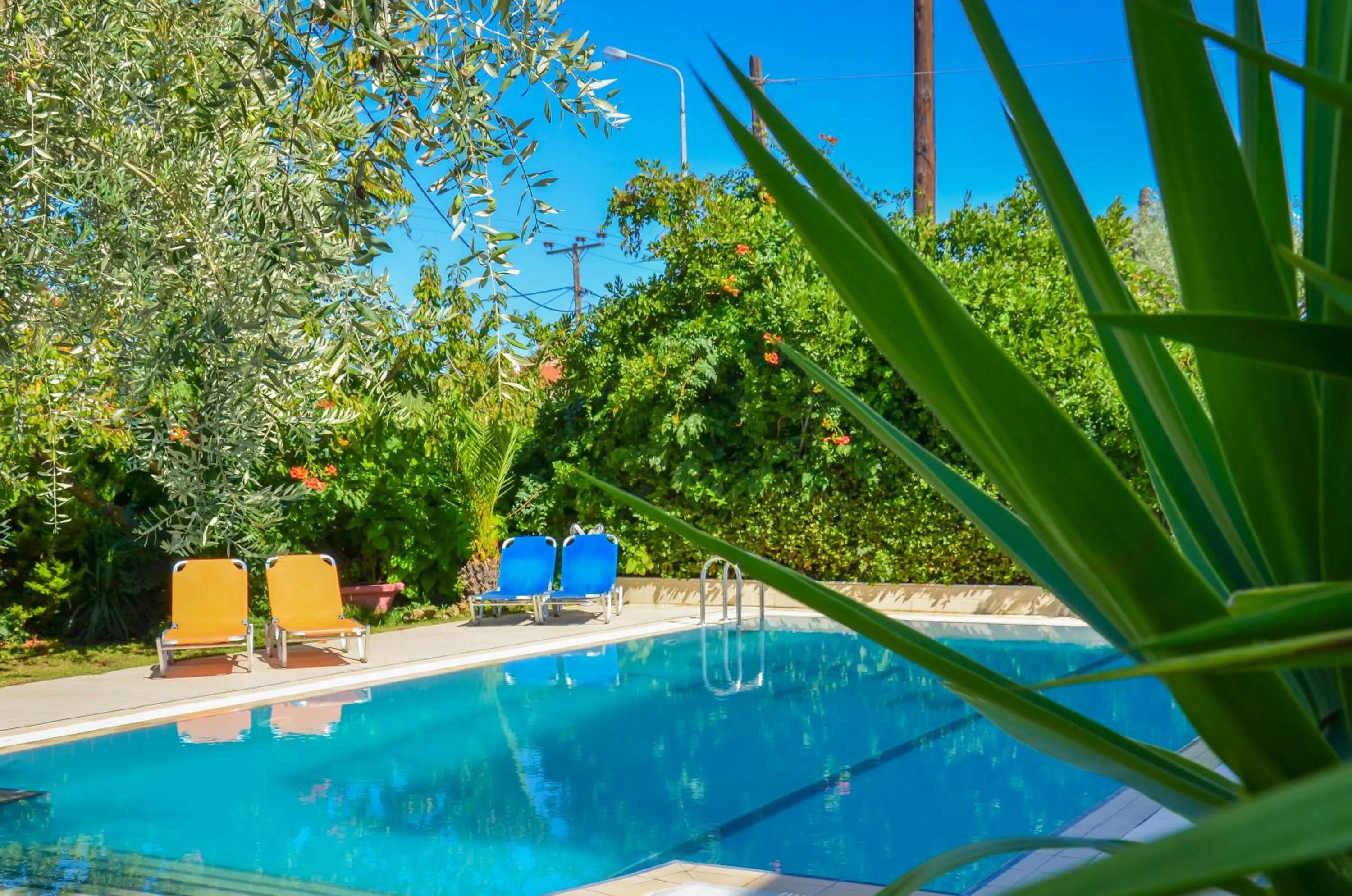Swimming pool in Villa Eden
