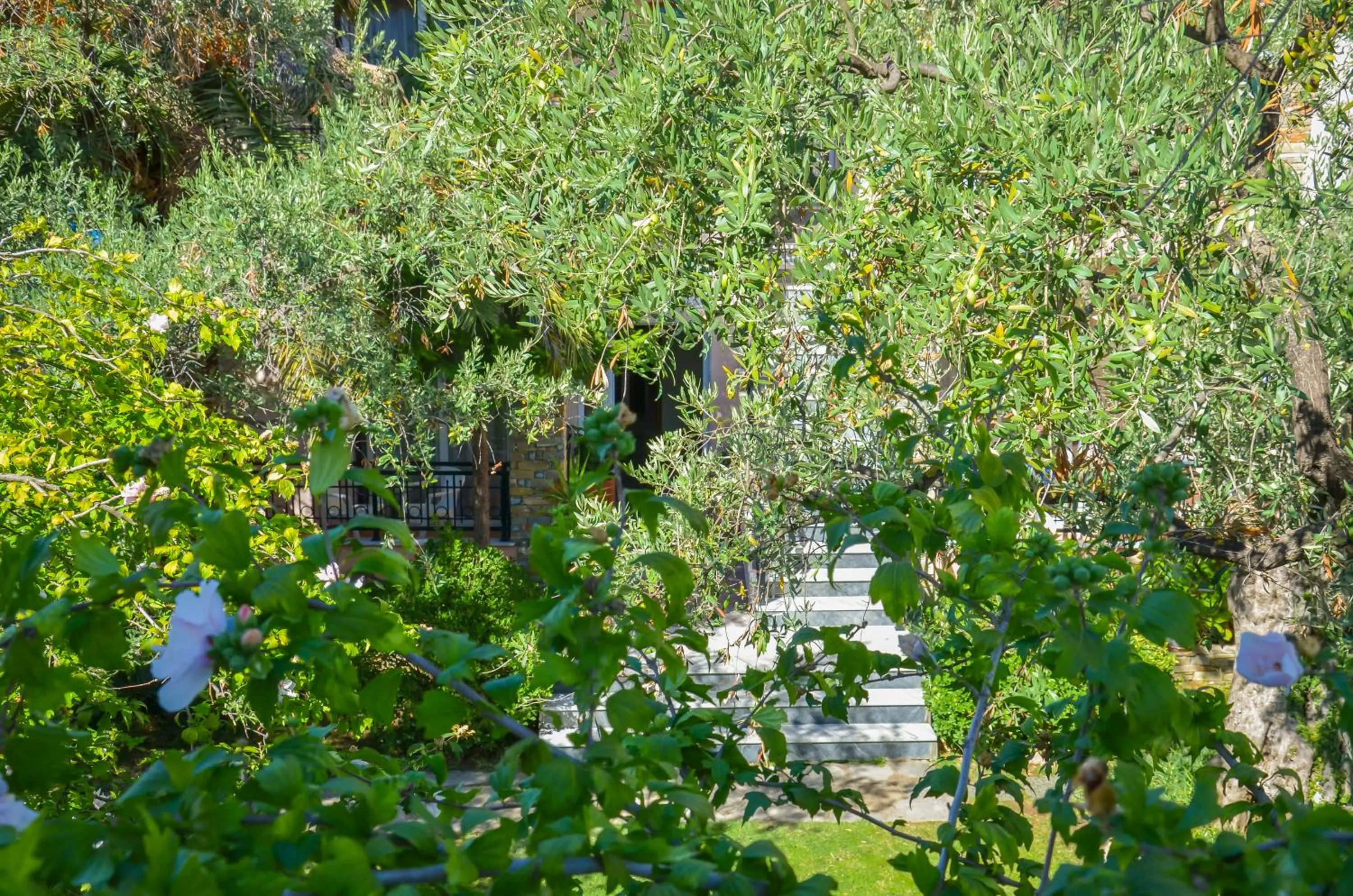 Garden in Villa Eden
