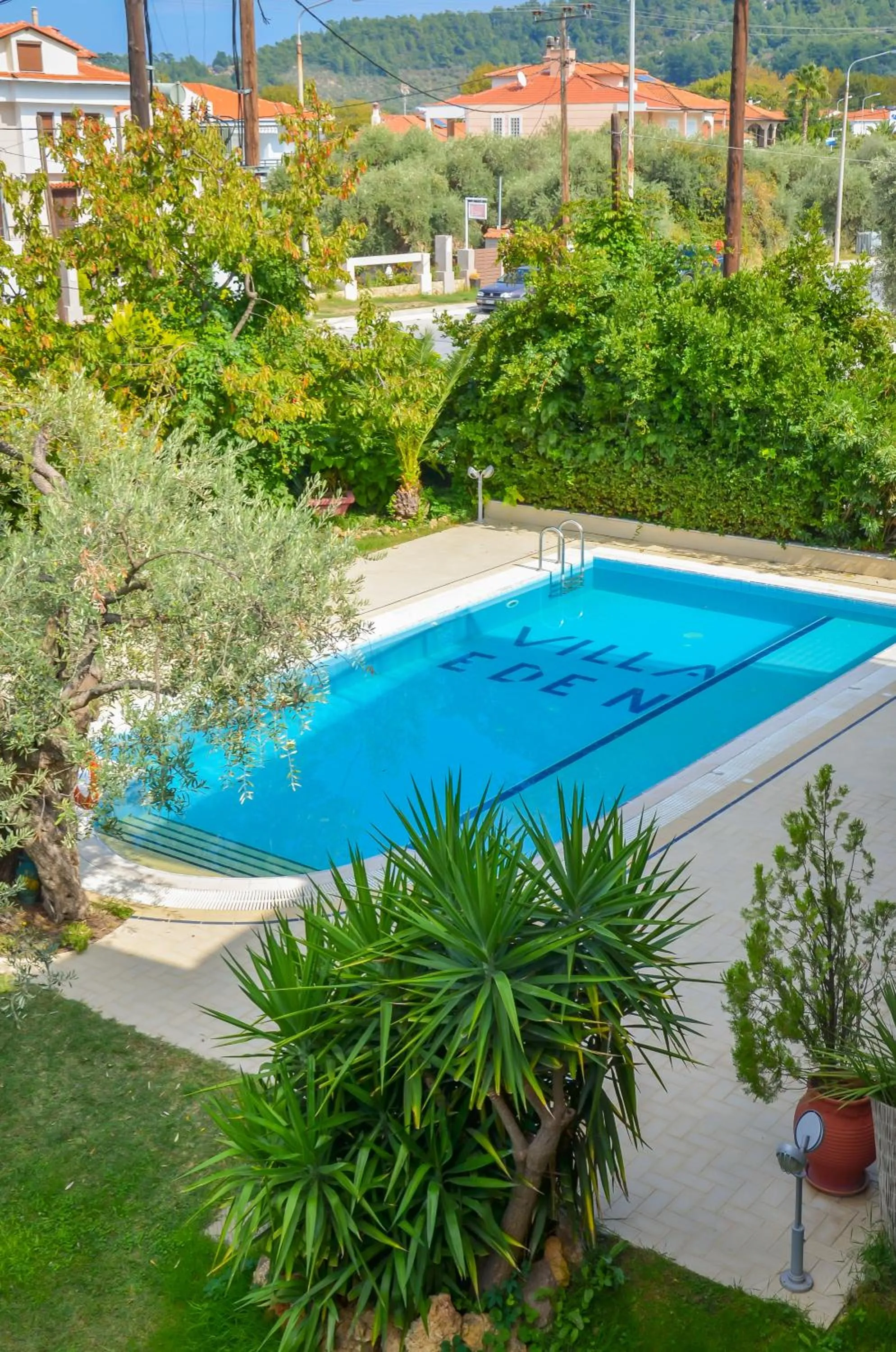 Garden in Villa Eden