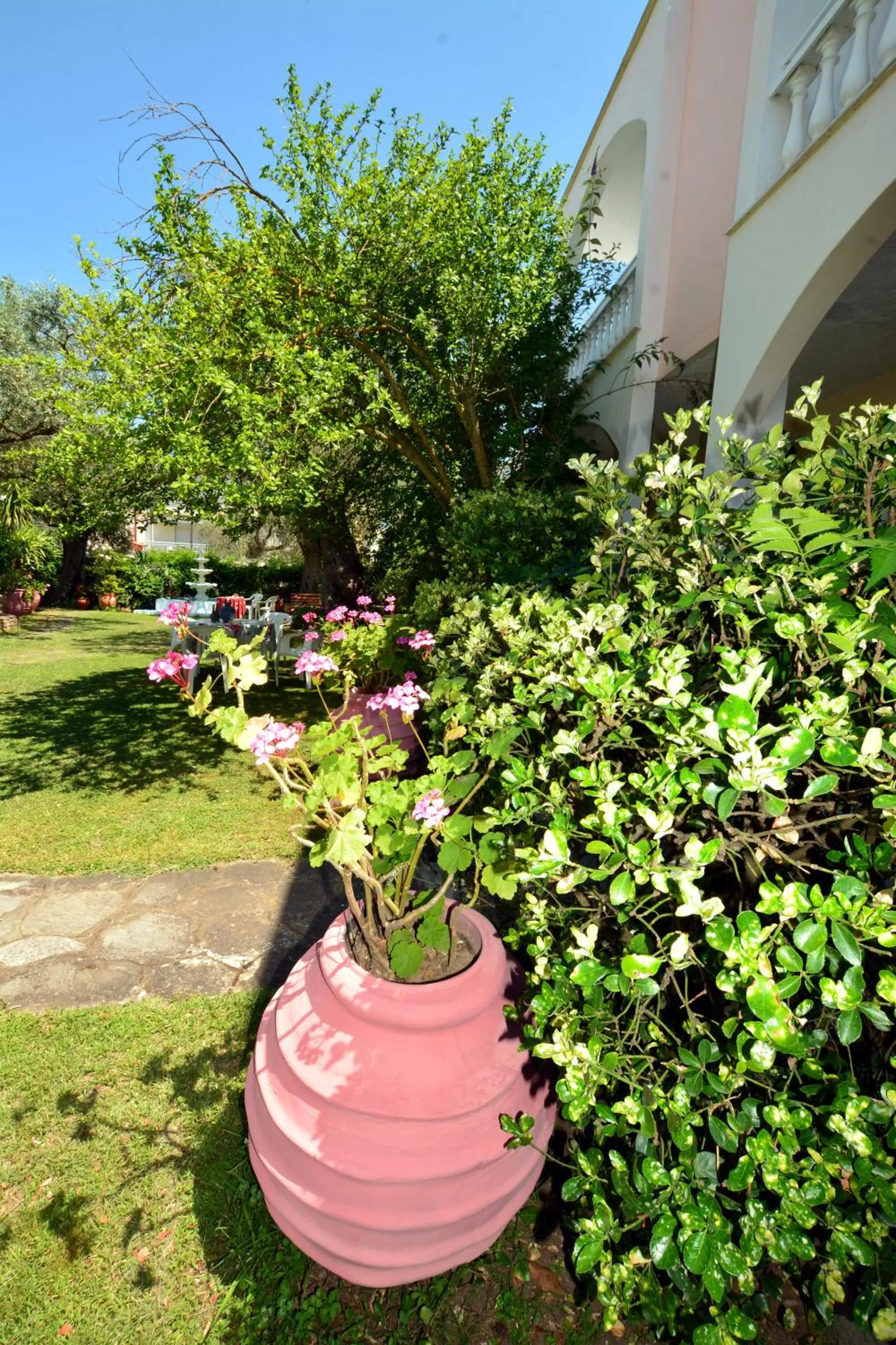 Garden in Villa Eden