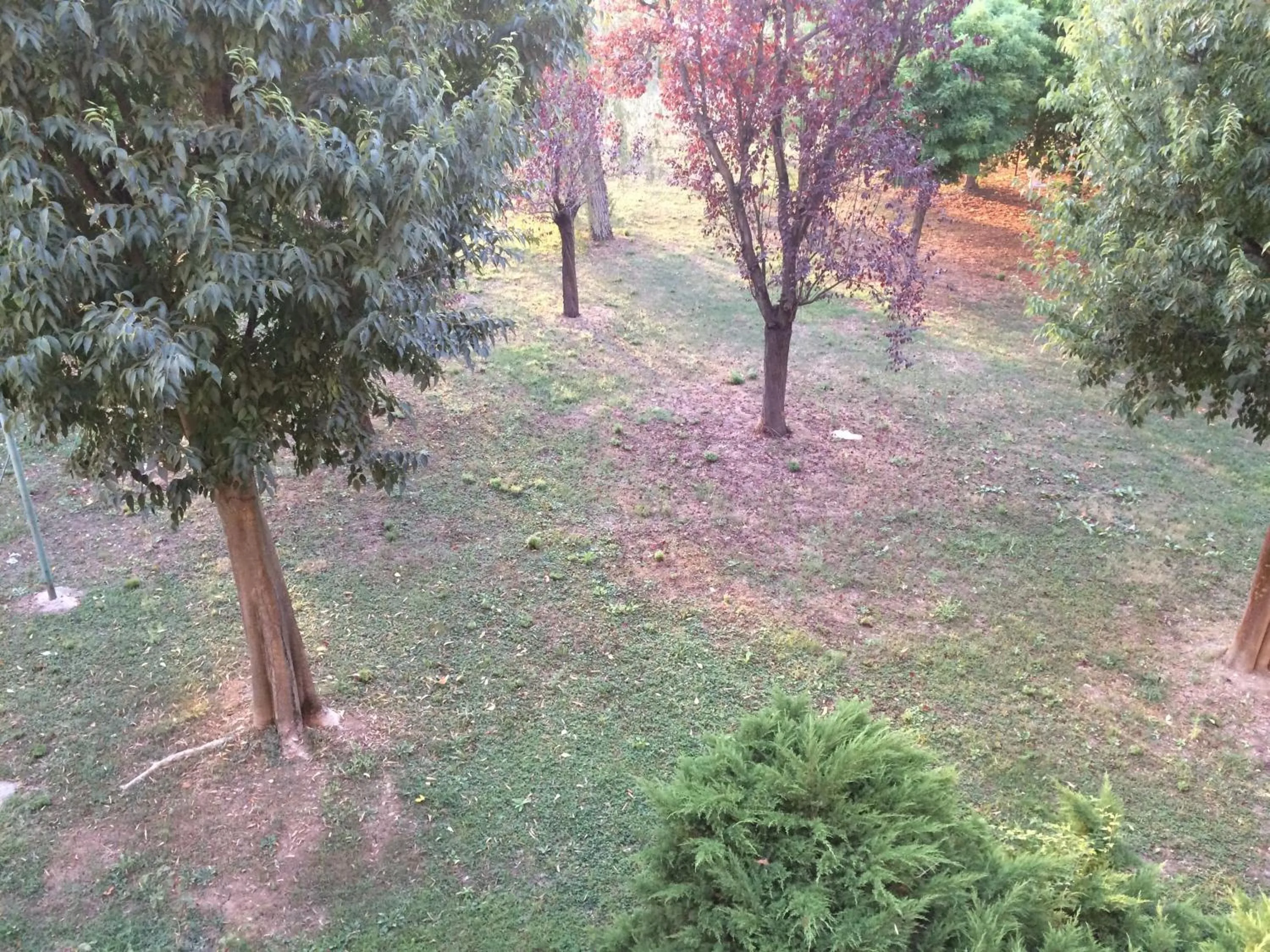 Garden in Bed & Breakfast Da Eliana