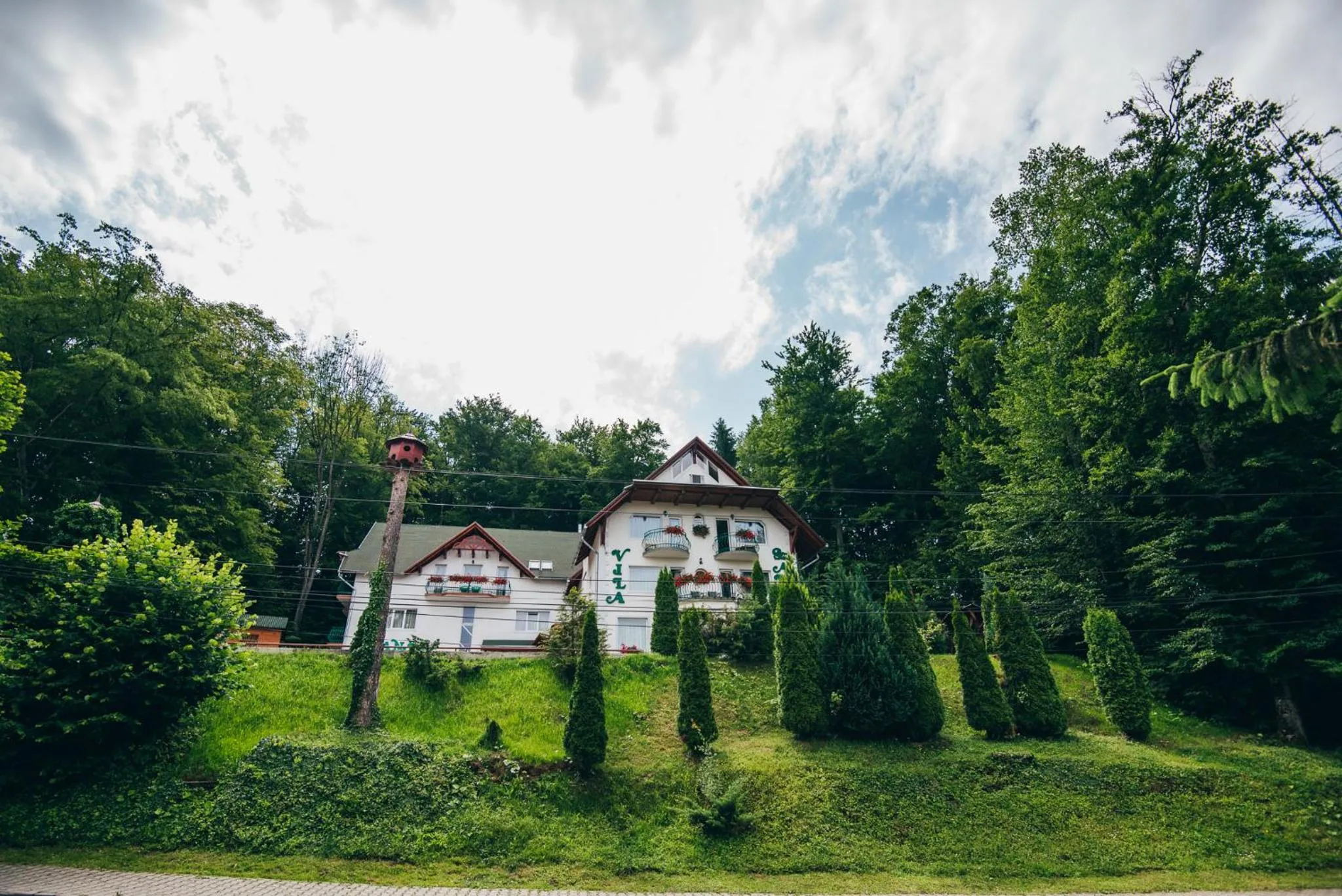 Szandy