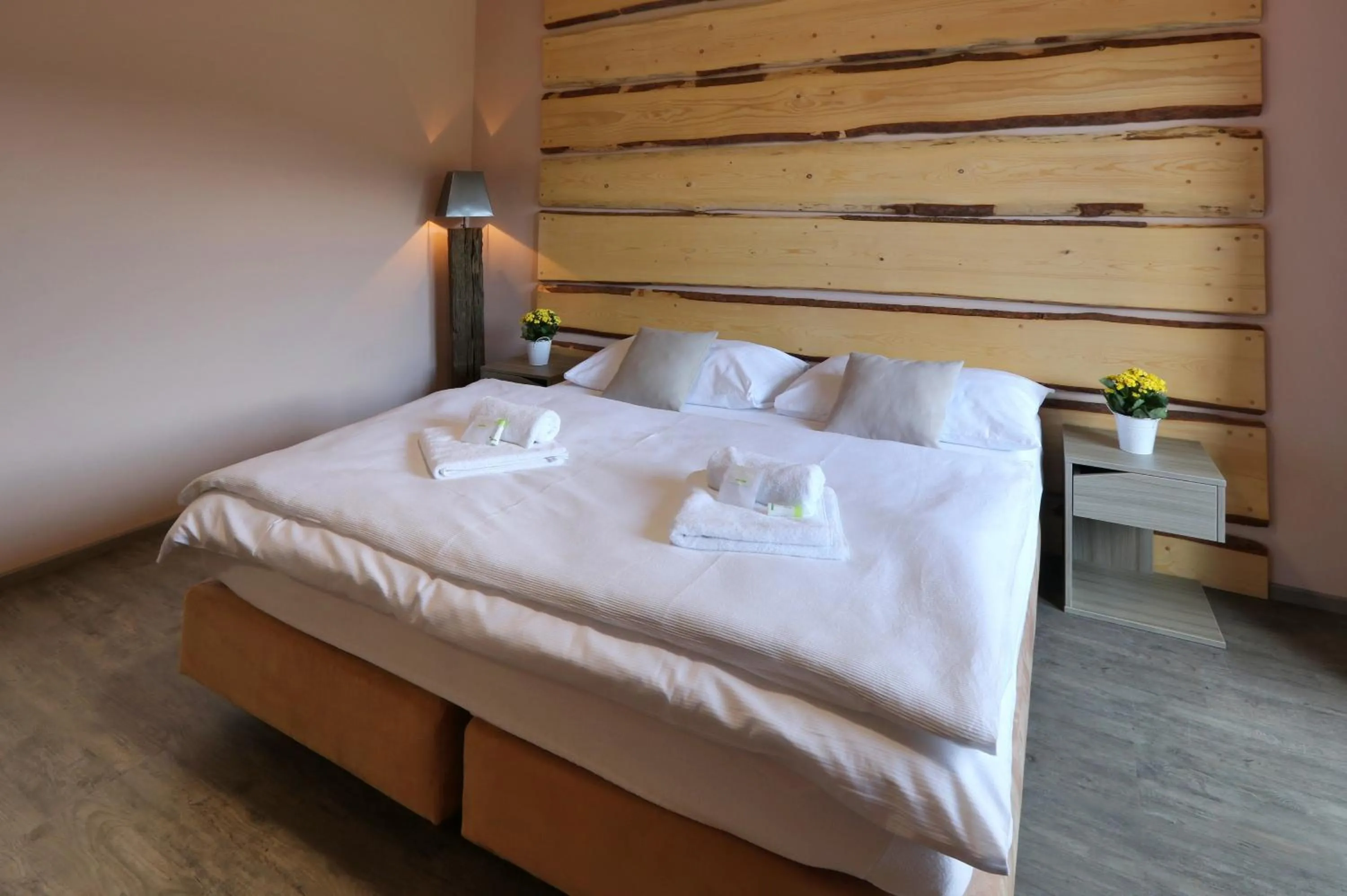 Superior Studio with Sauna in Hotel Obzor