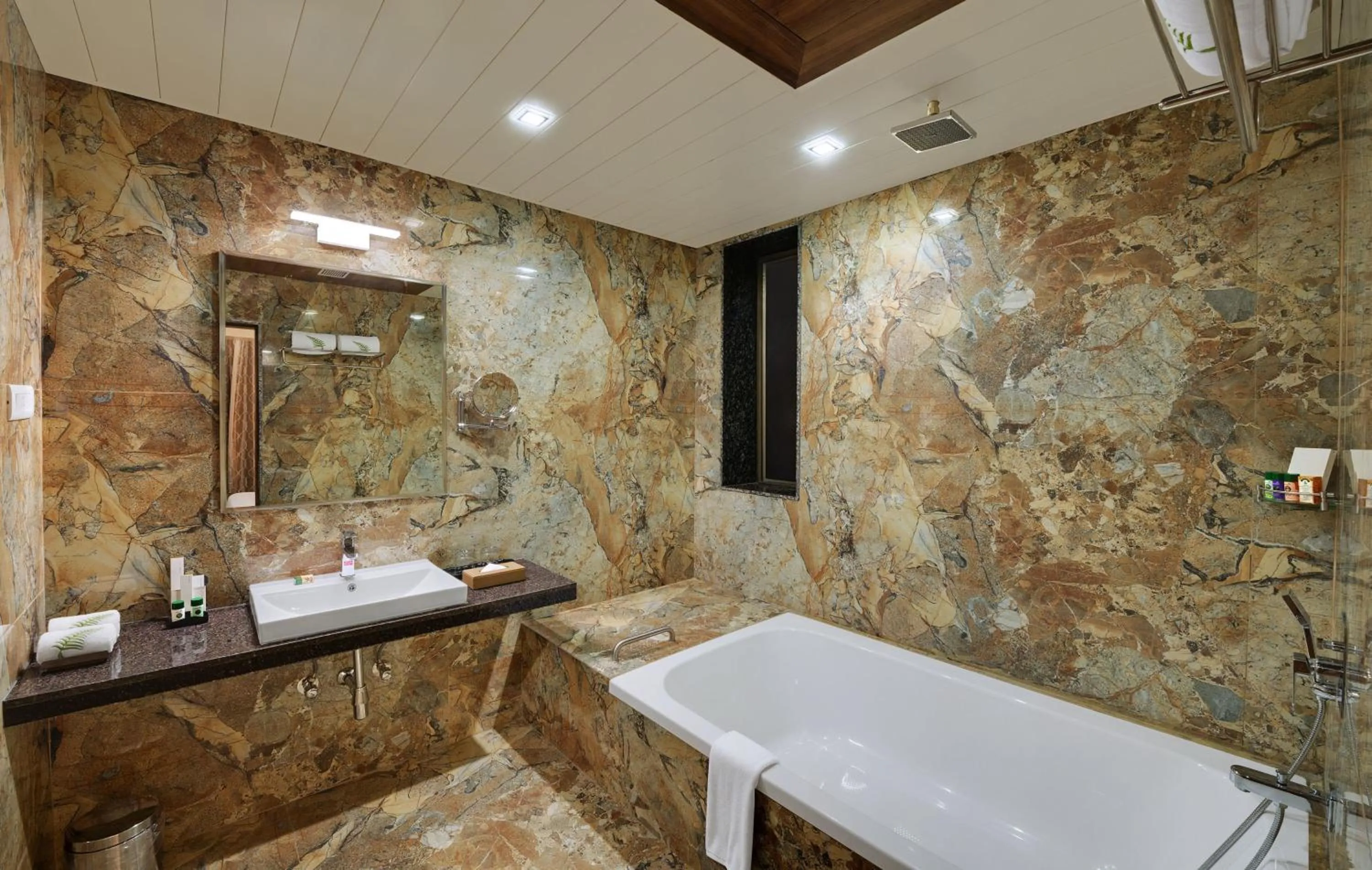 Bathroom in The Fern Residency Somnath