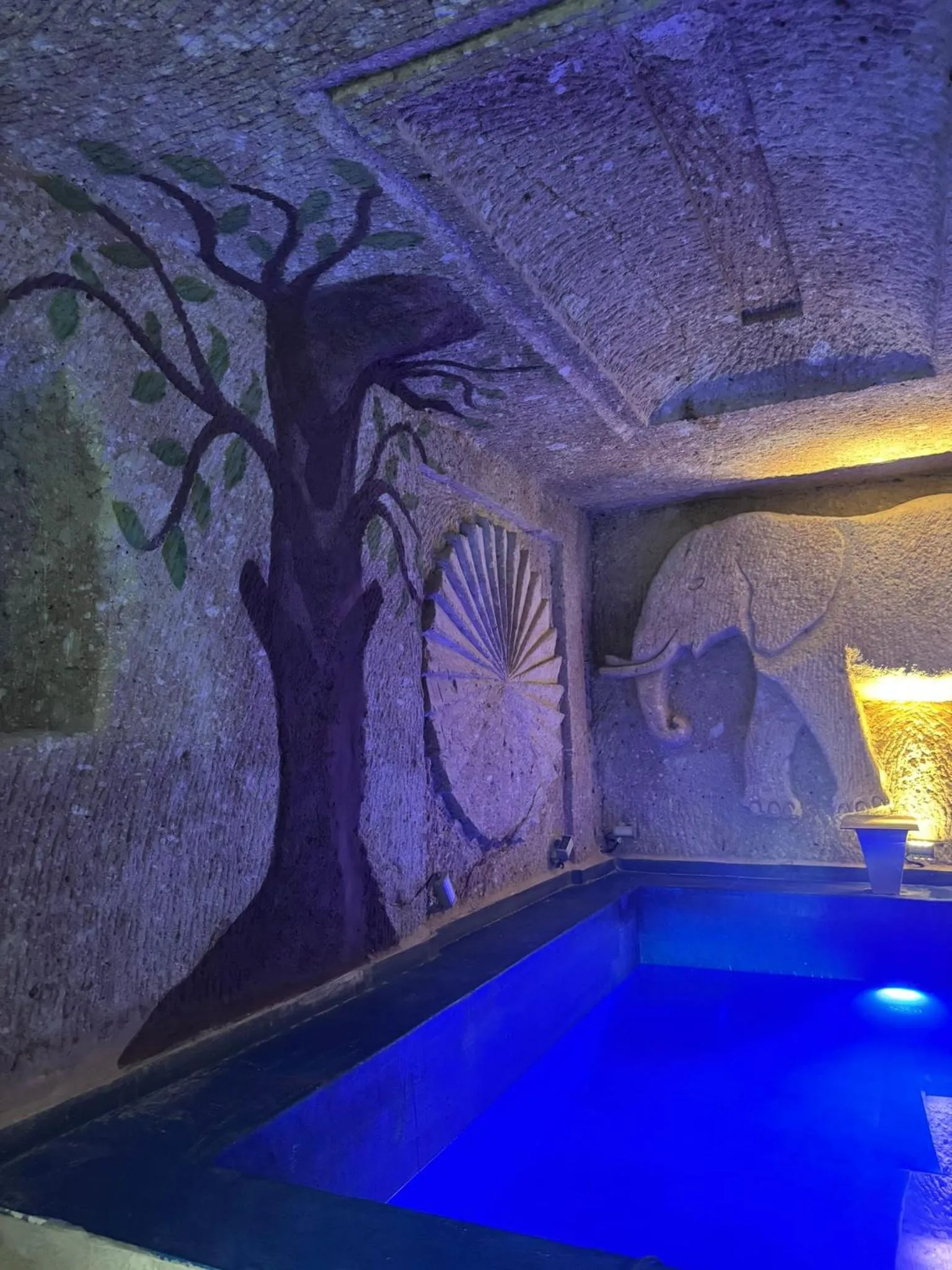 Swimming pool in Vanessa Cave Hotel