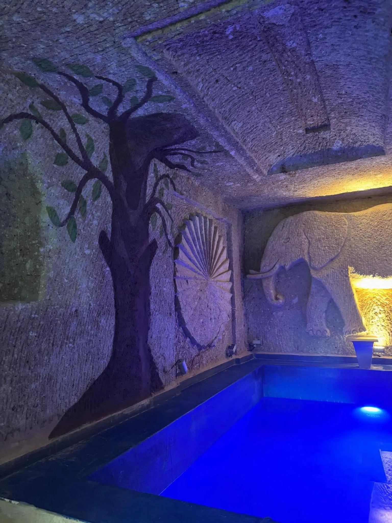 Swimming pool in Vanessa Cave Hotel