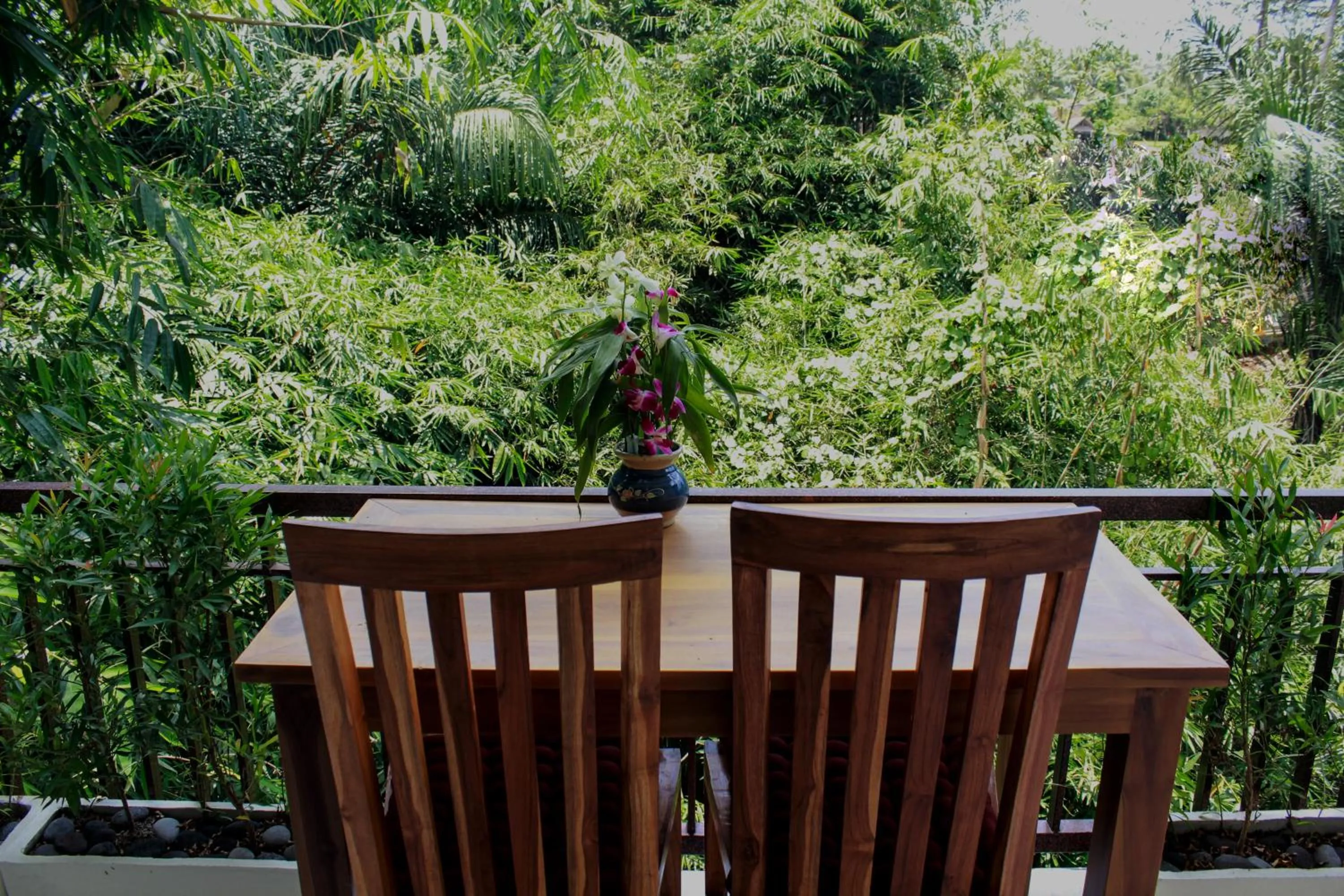 Balcony/Terrace in Manwarsa Guest House