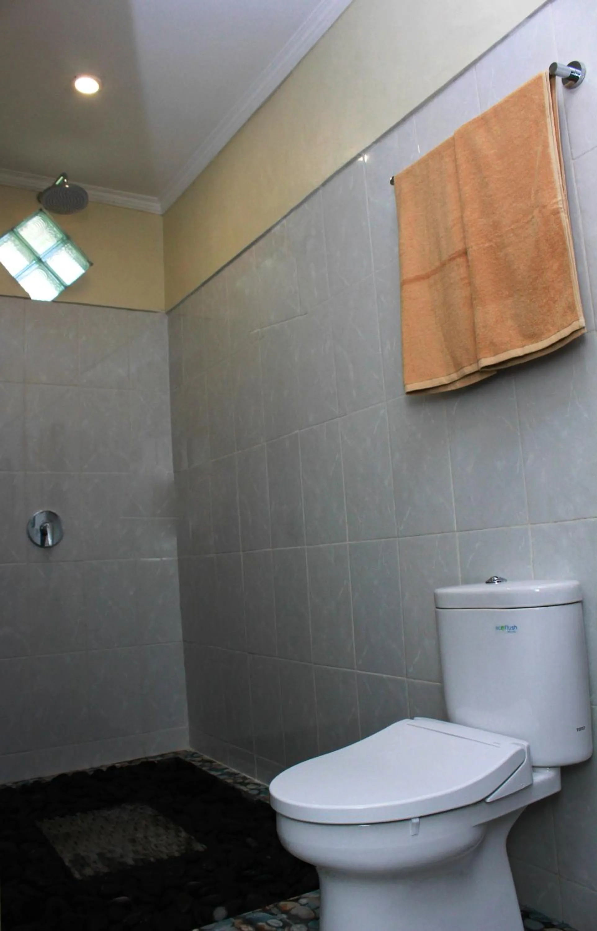Shower in Manwarsa Guest House