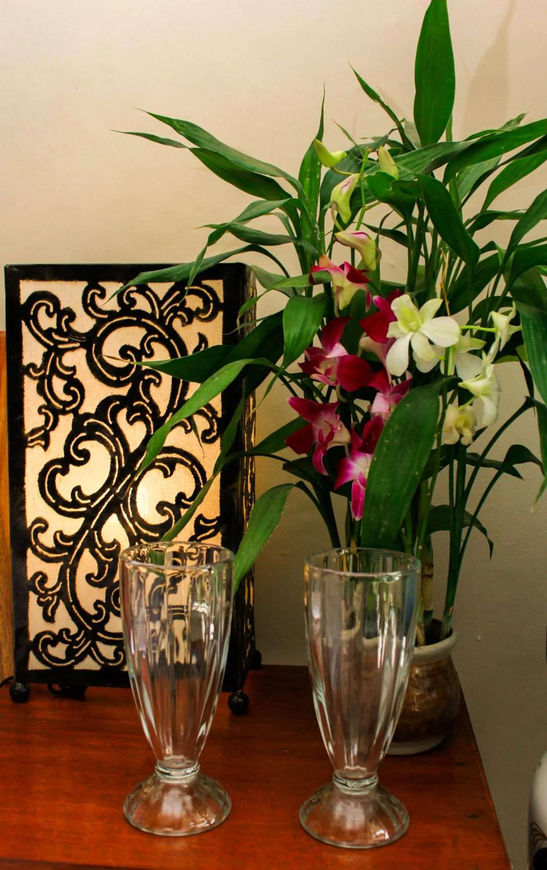 Drinks in Manwarsa Guest House