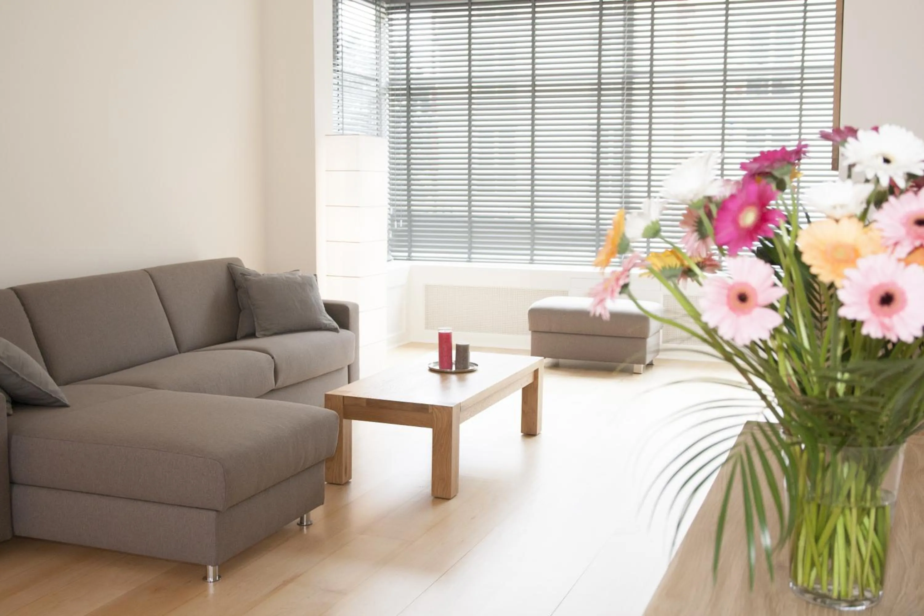 Living room in Casa Del Cisne