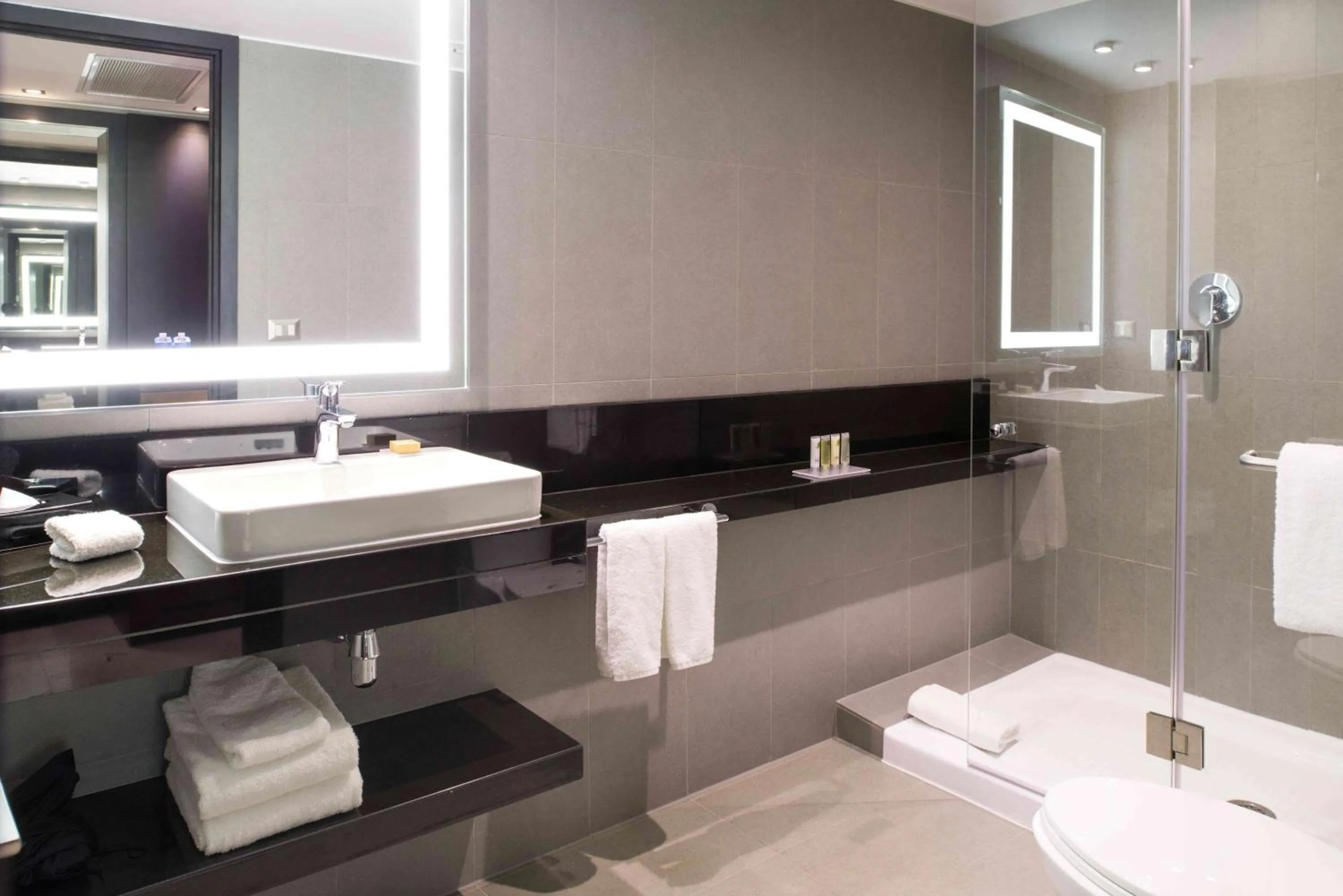 Bathroom in Hilton Garden Inn Iquique