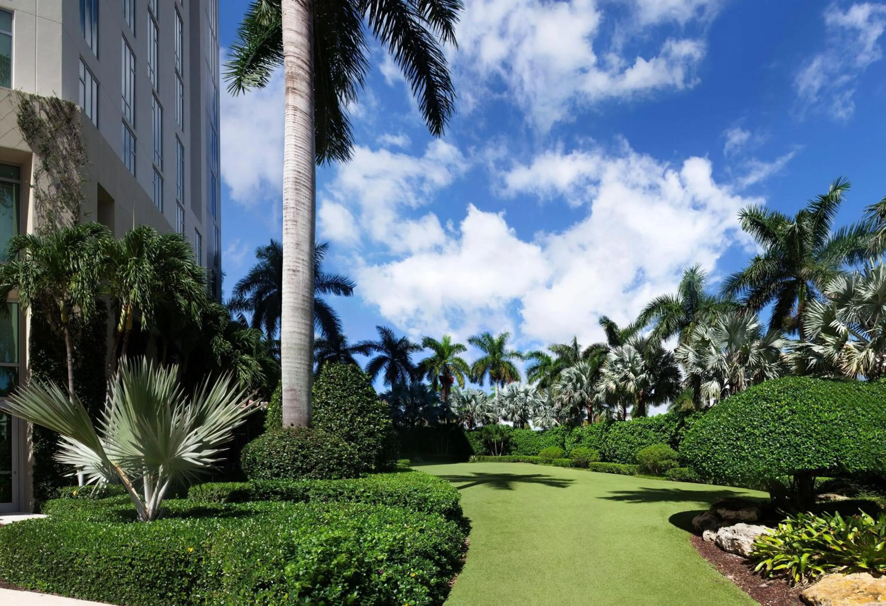 Meeting/conference room in Hilton West Palm Beach