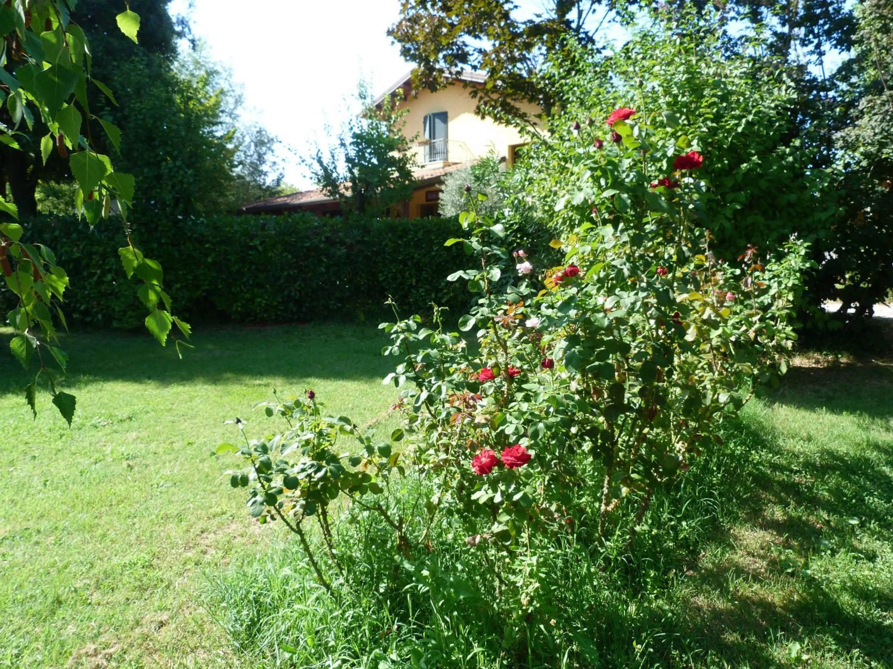 Garden in Pian del Pigro