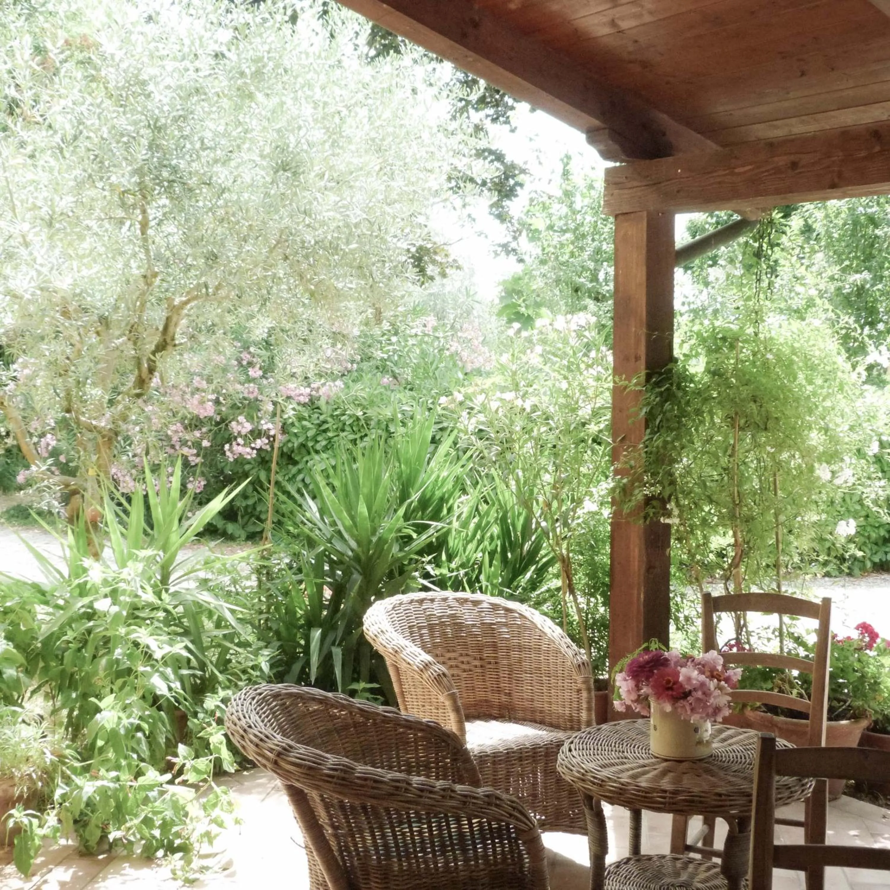 Patio in Pian del Pigro