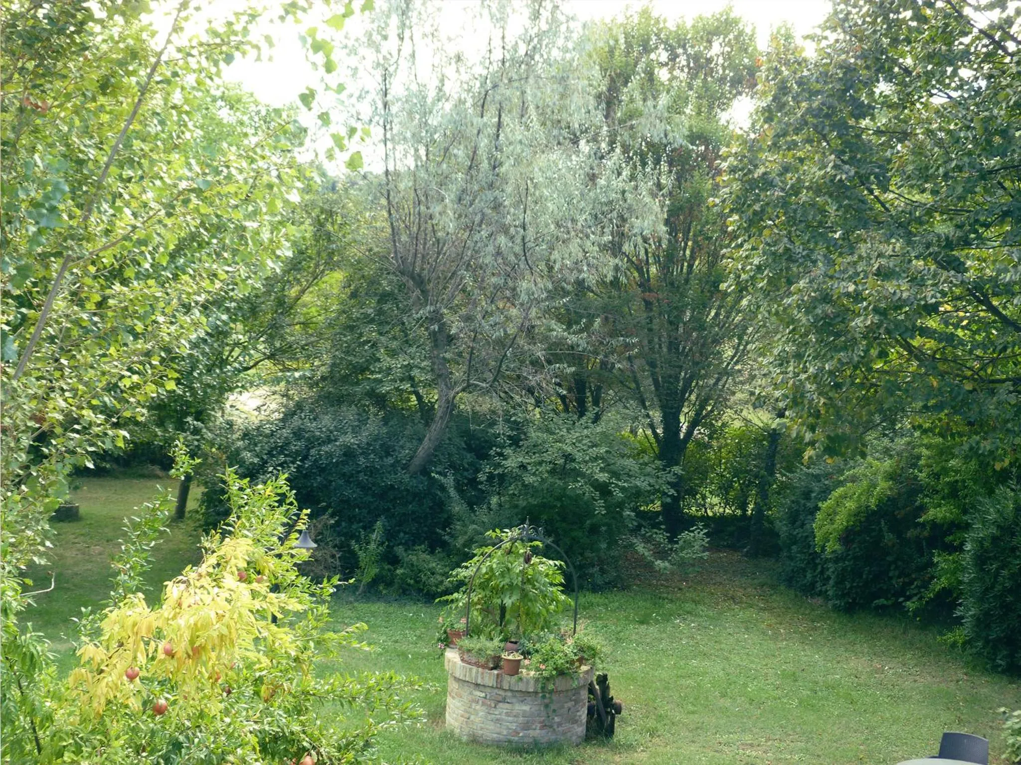 Garden view in Pian del Pigro