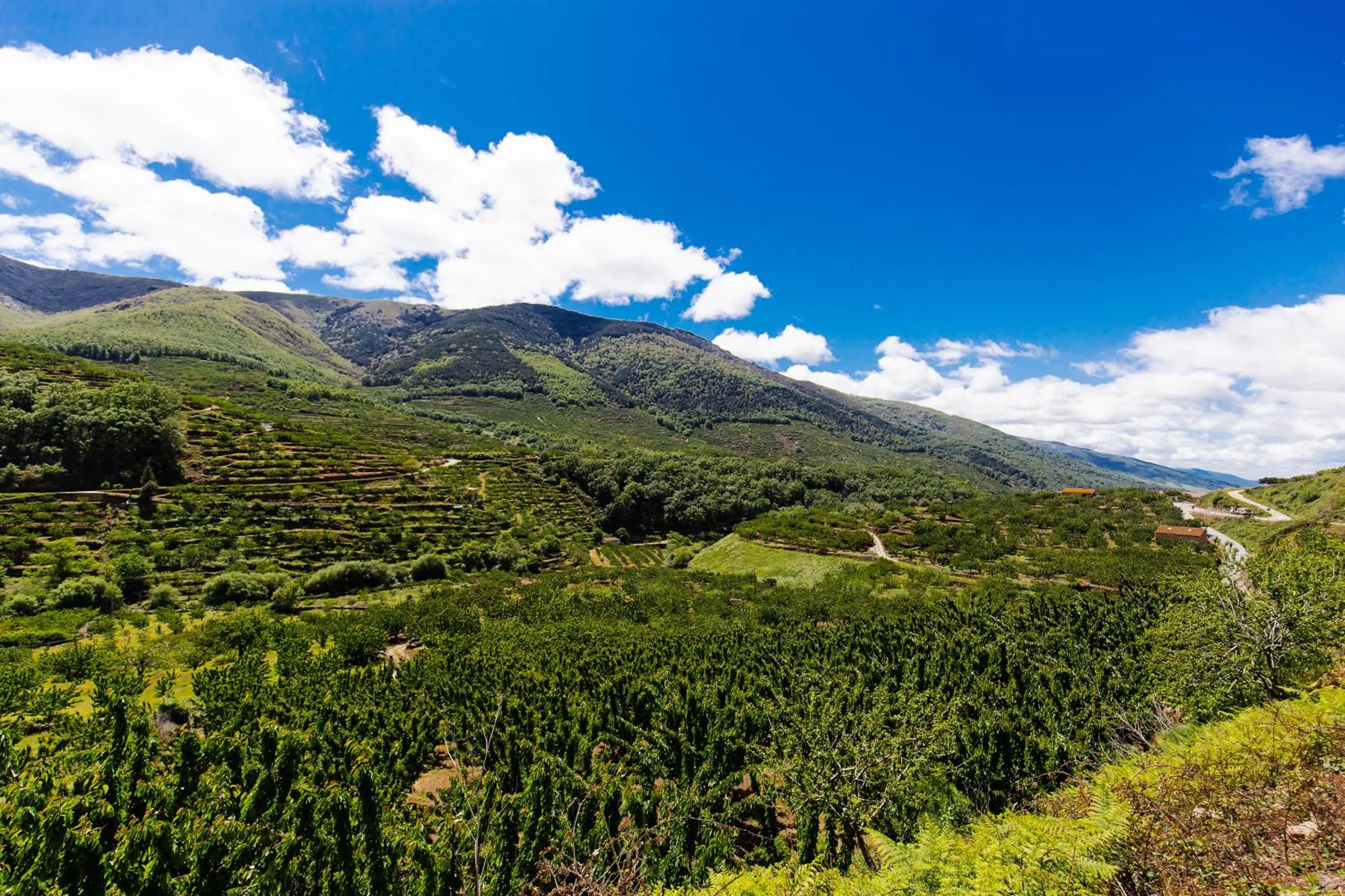 Landmark view in Antigua Posada, Valle del Jerte