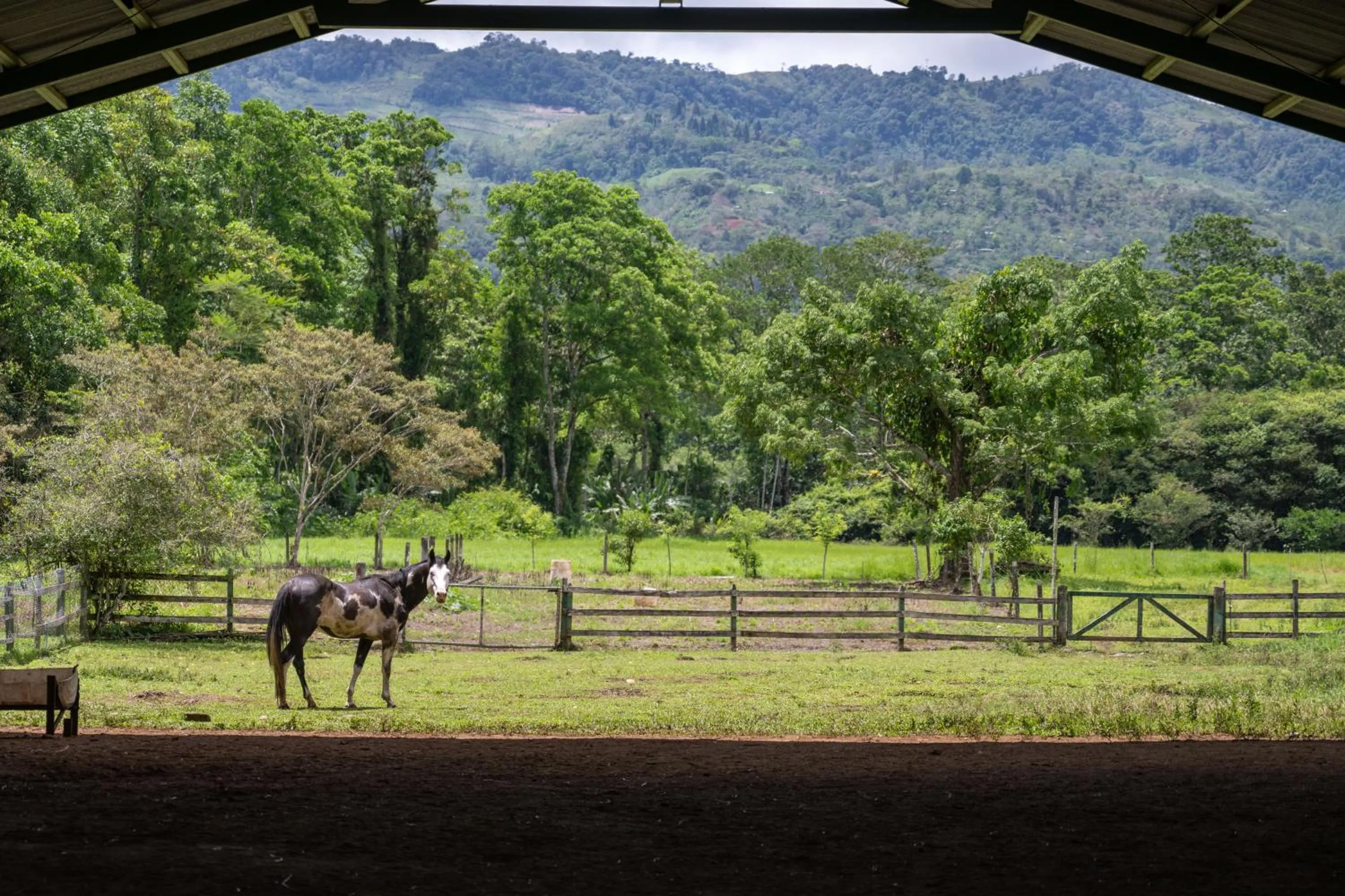 Natural landscape in Hotel Casa Turire
