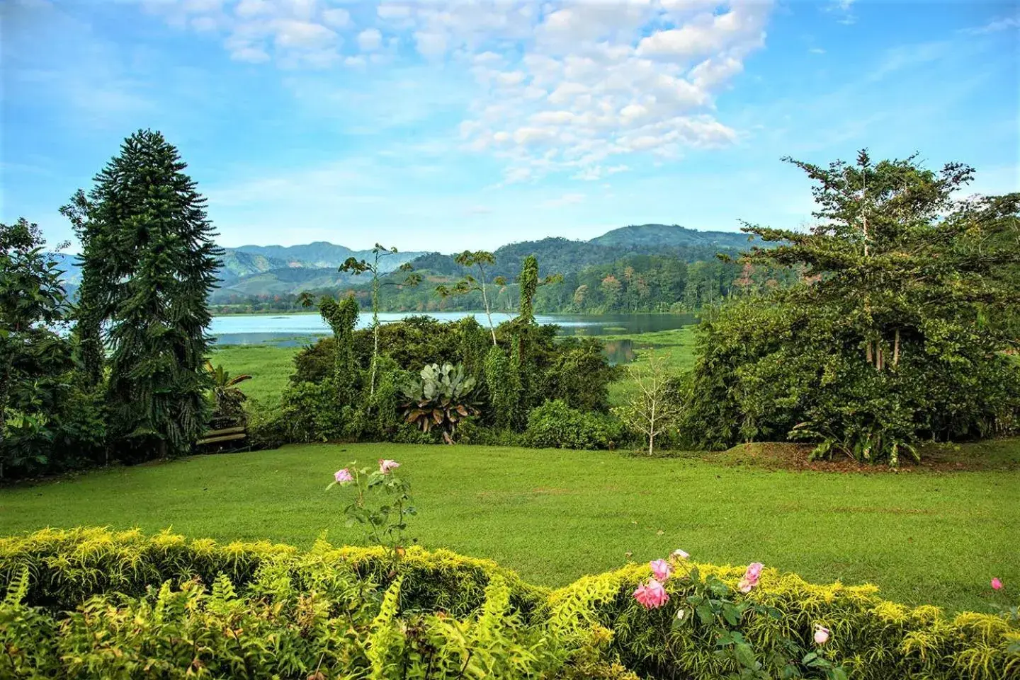Garden view in Hotel Casa Turire Garden view in Hotel Casa Turire
