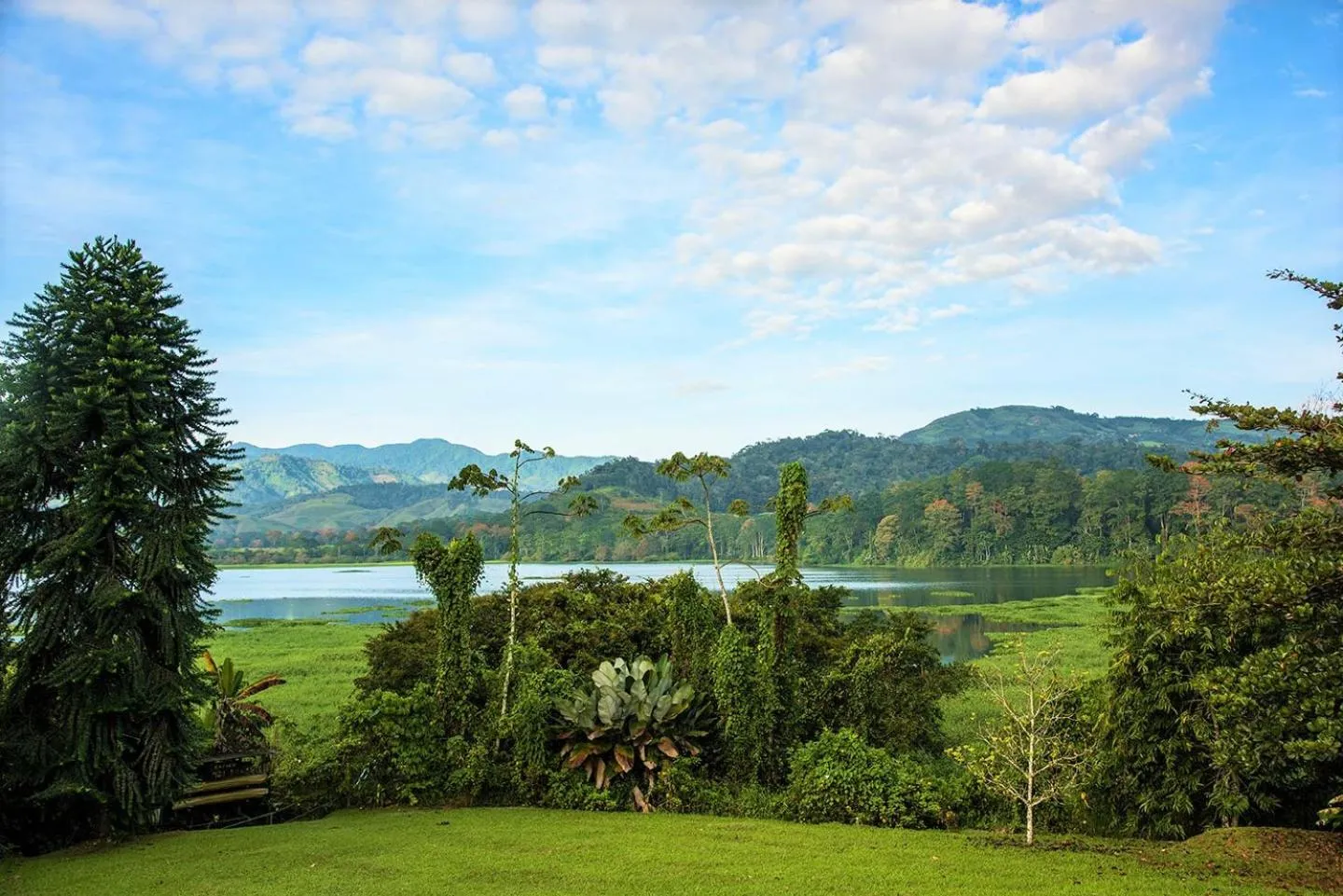 Garden view in Hotel Casa Turire