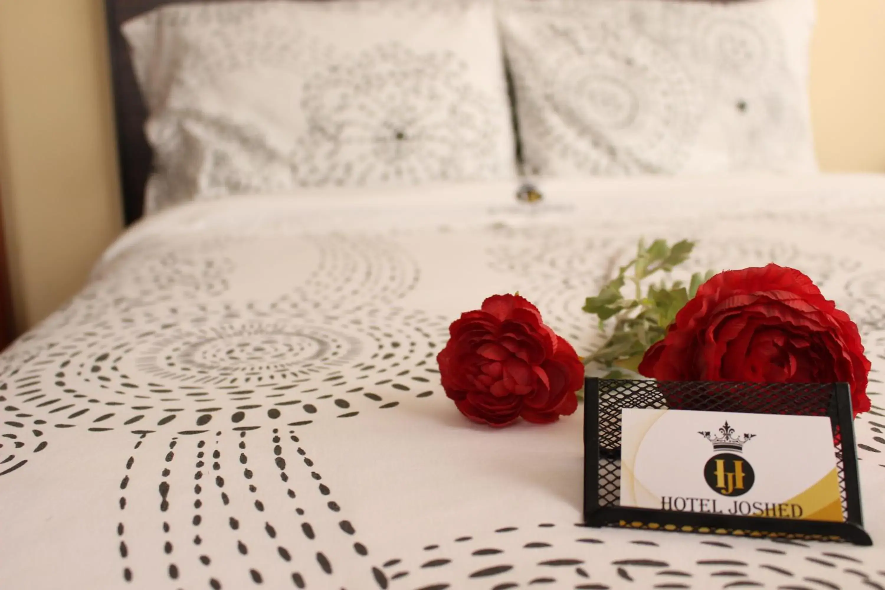 Double Room in Hotel Joshed Imperial Double Room in Hotel Joshed Imperial