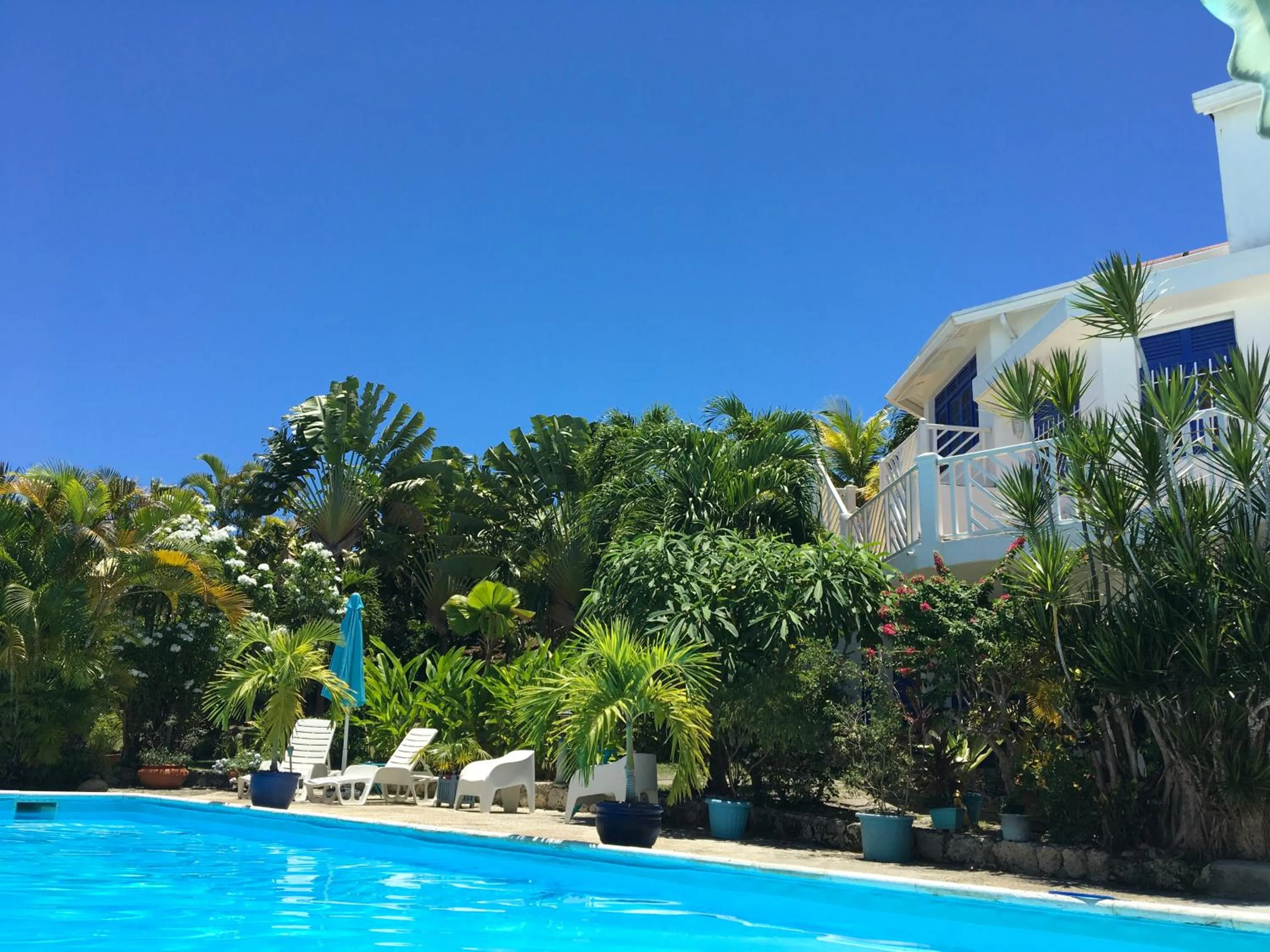 Swimming pool in Hotel Cap Sud Caraibes