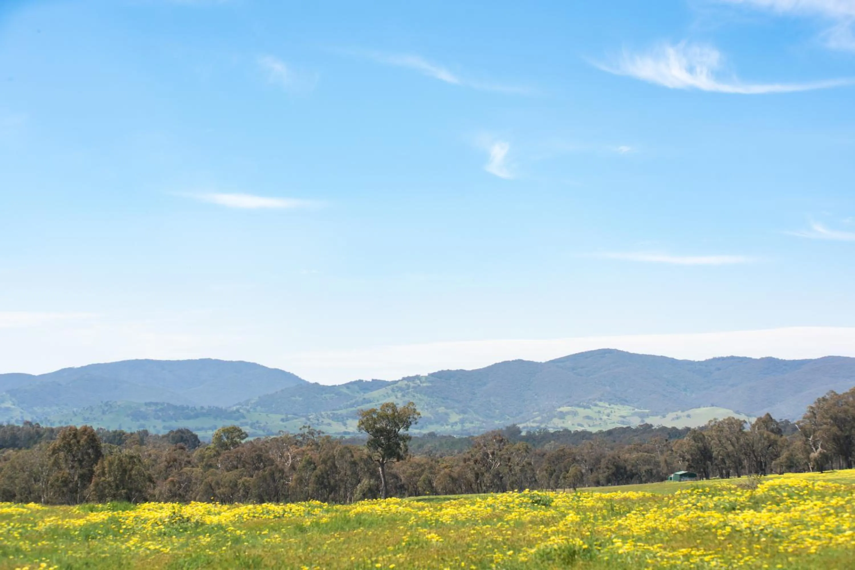 Mountain view in Motel Views Yackandandah