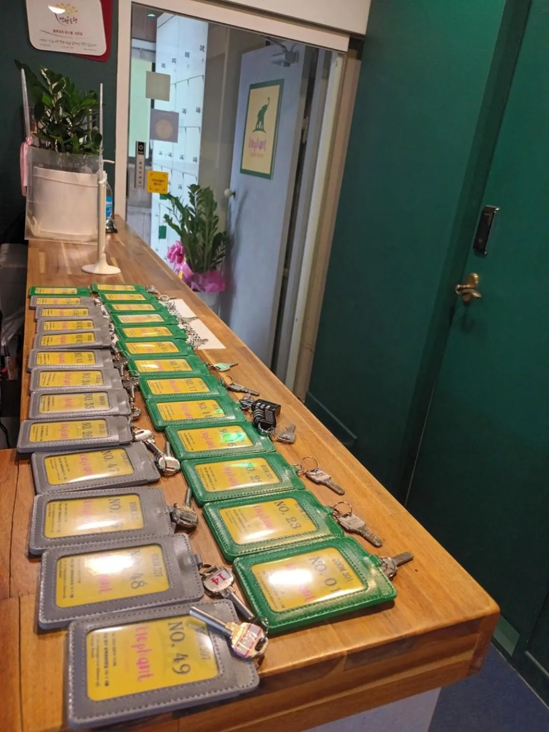 Property building in Elephant Hostel Nampo