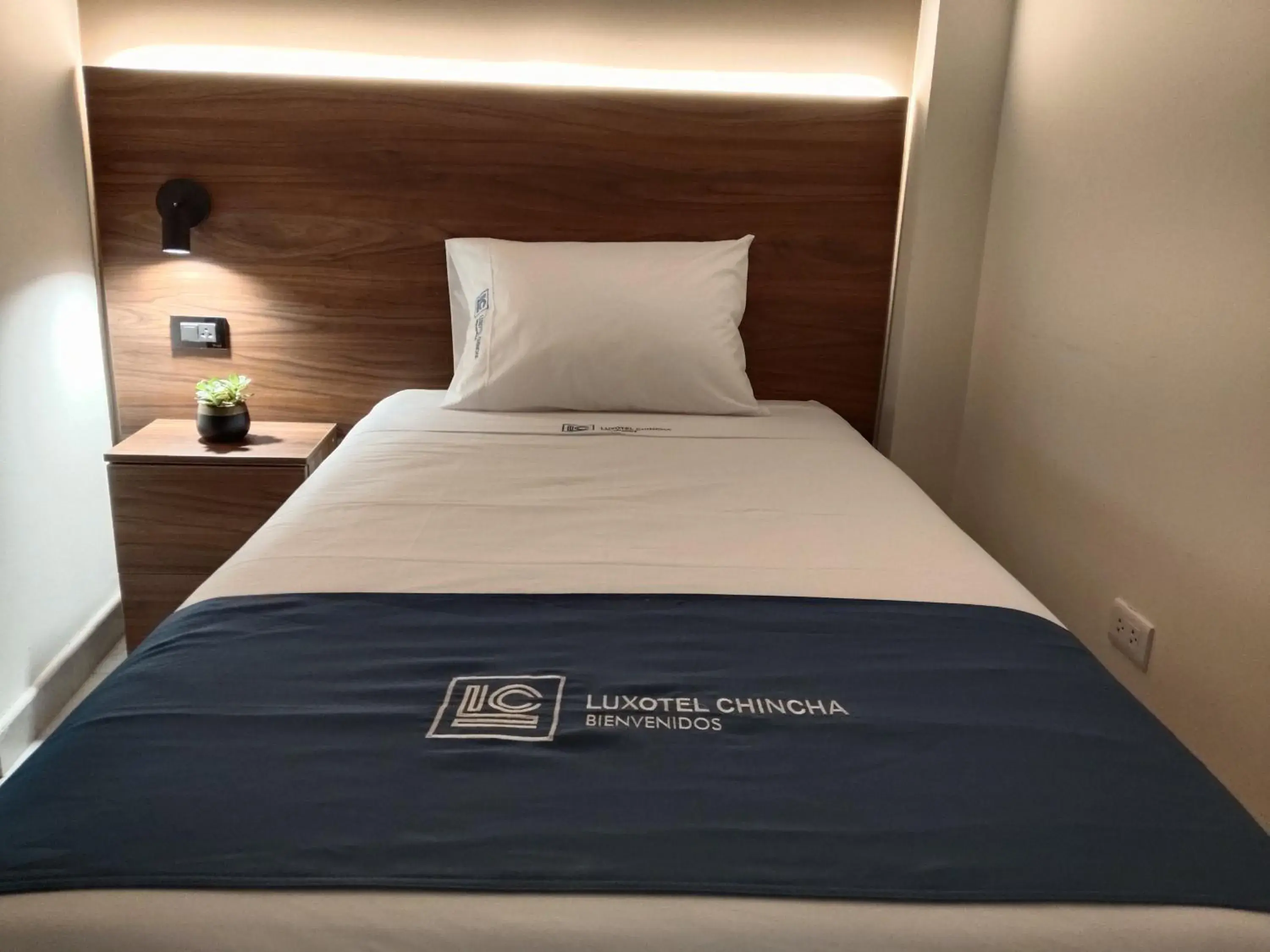 Single Room - single occupancy in Luxotel Business Chincha Single Room - single occupancy in Luxotel Business Chincha