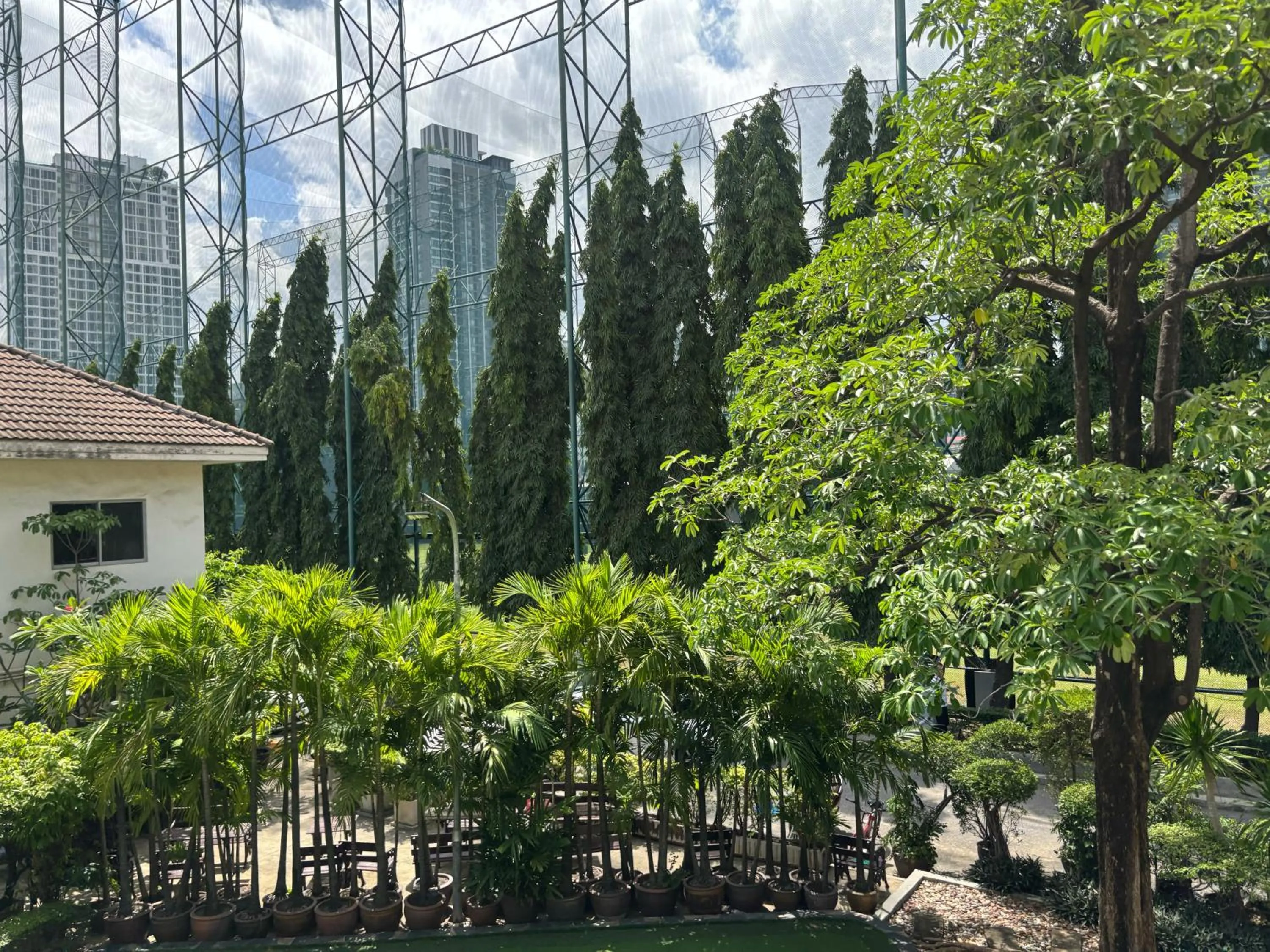 Spring in HOLY SHEET Hostel