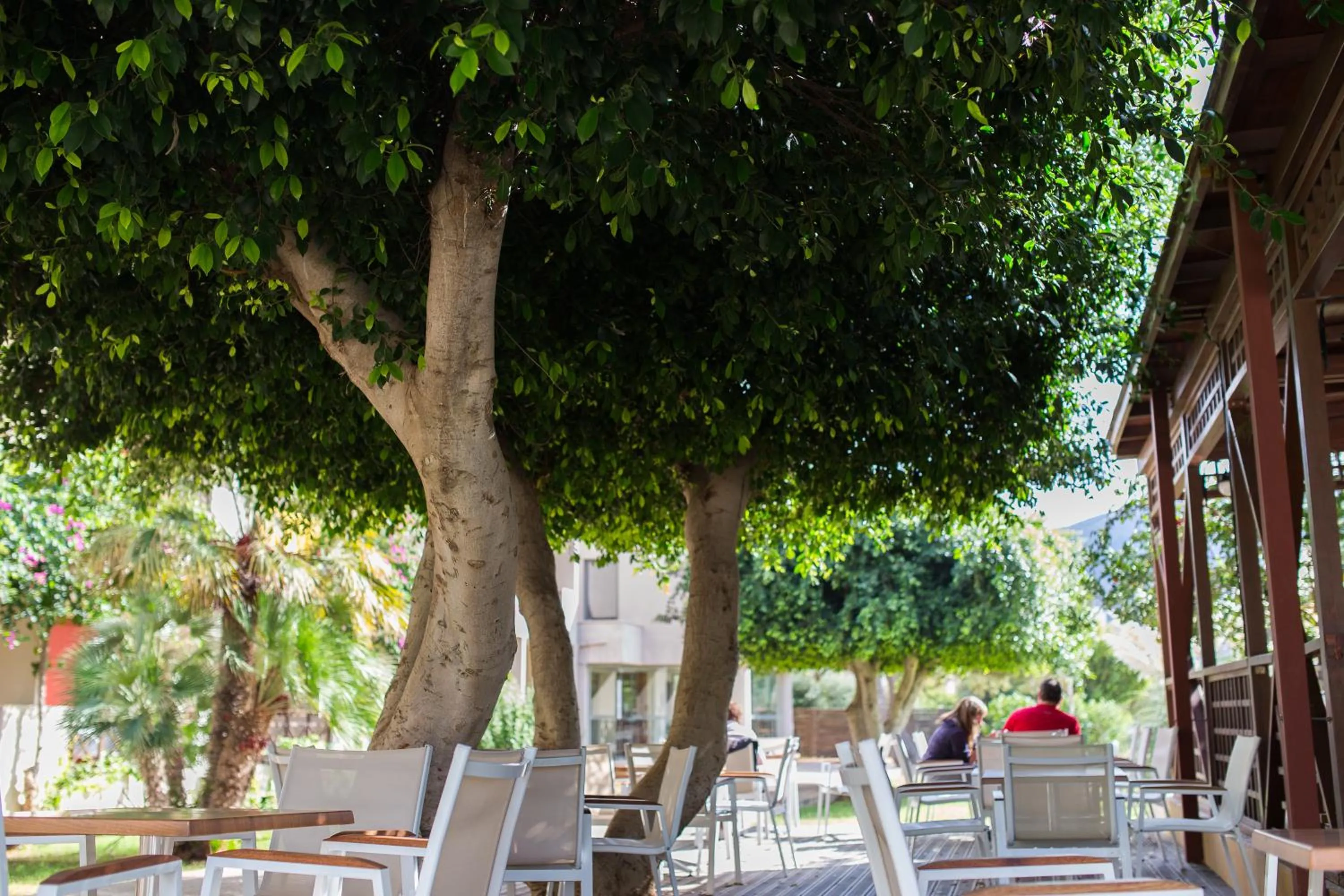 Lounge or bar in Dessole Malia Beach - All Inclusive