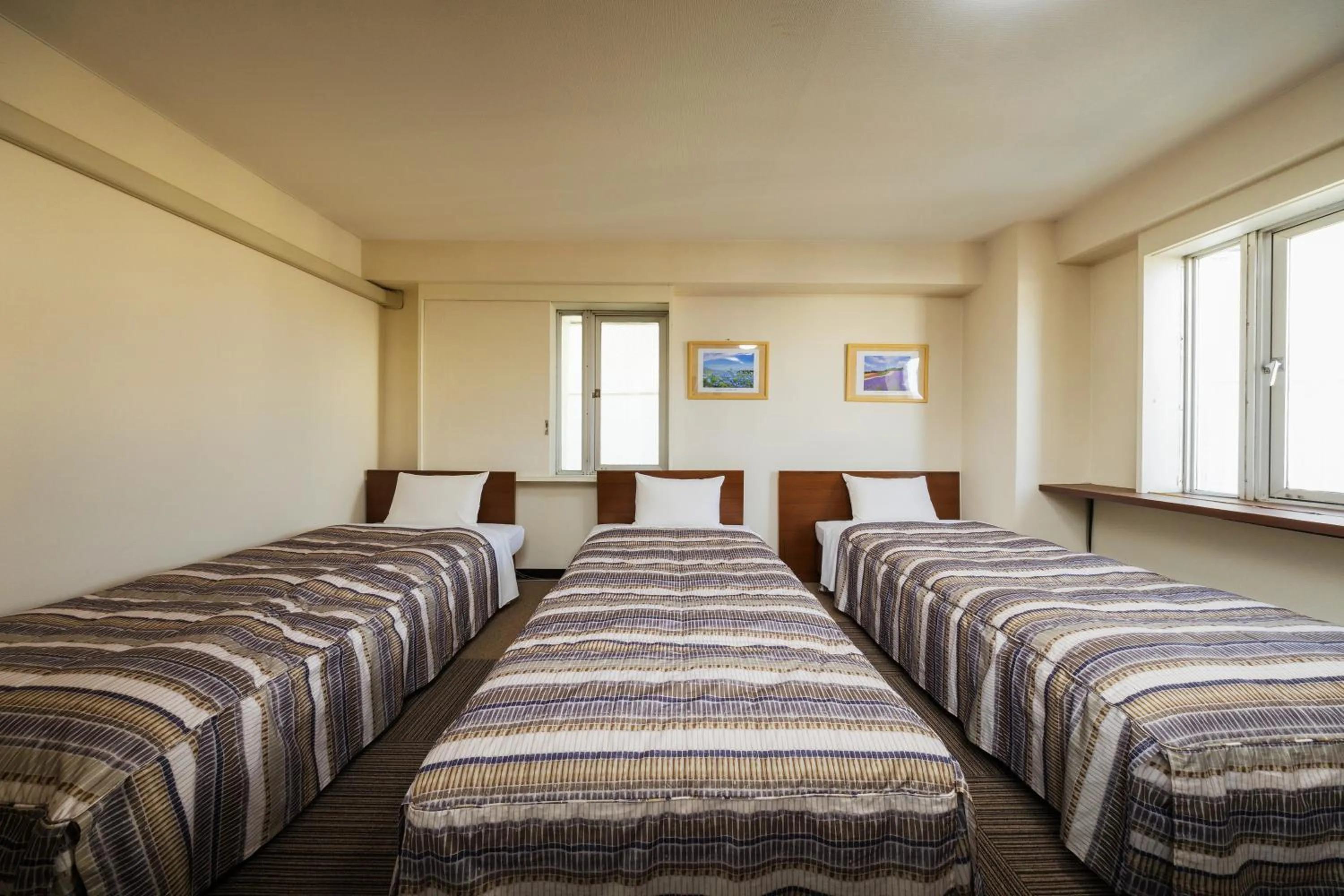 Triple Room in Mizusawa Green Hotel
